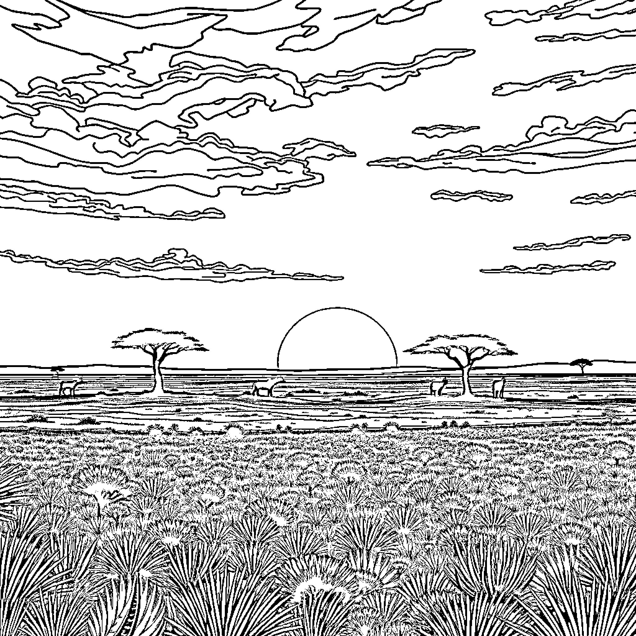Sunset in the serene African landscape Coloring Page (free black-and-white line drawing printable PDF for all, from beginners to advanced learners, including children, teens, adults, and seniors)