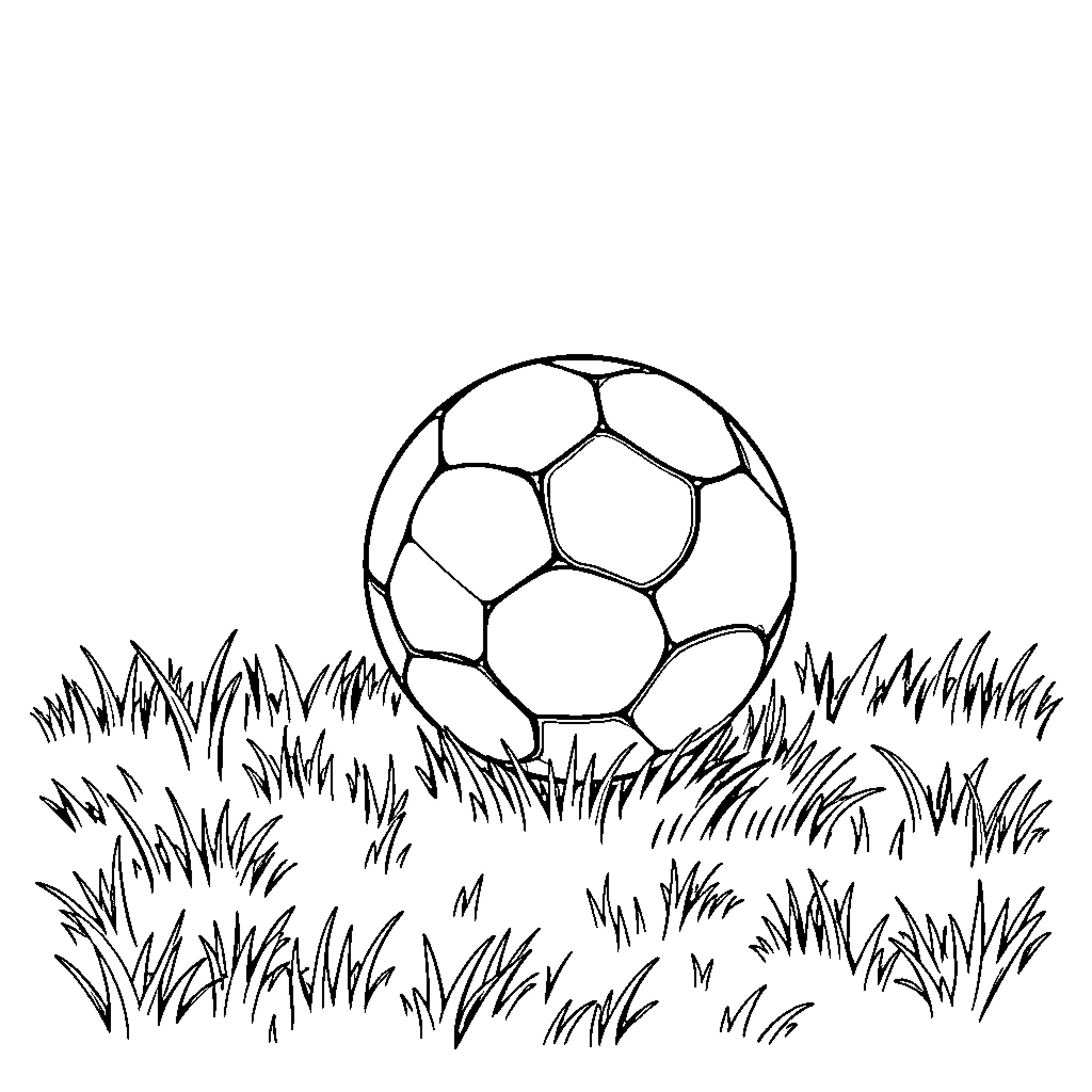 Ball rolling in grassy field Coloring Page (free black-and-white line drawing printable PDF for all, from beginners to advanced learners, including children, teens, adults, and seniors)