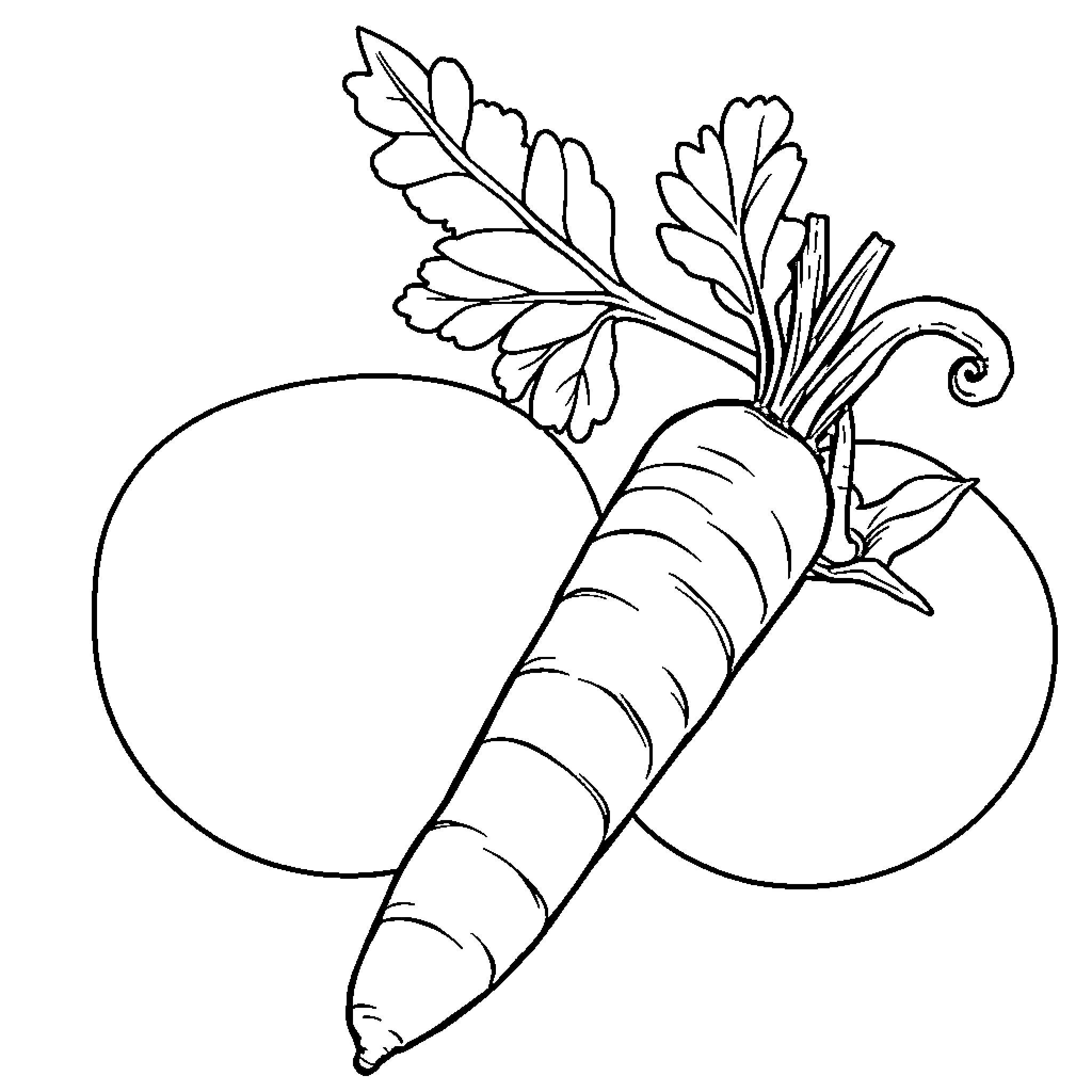 Carrot with Detailed Leaves and Circles Coloring Page (free black-and-white line drawing printable PDF for all, from beginners to advanced learners, including children, teens, adults, and seniors)