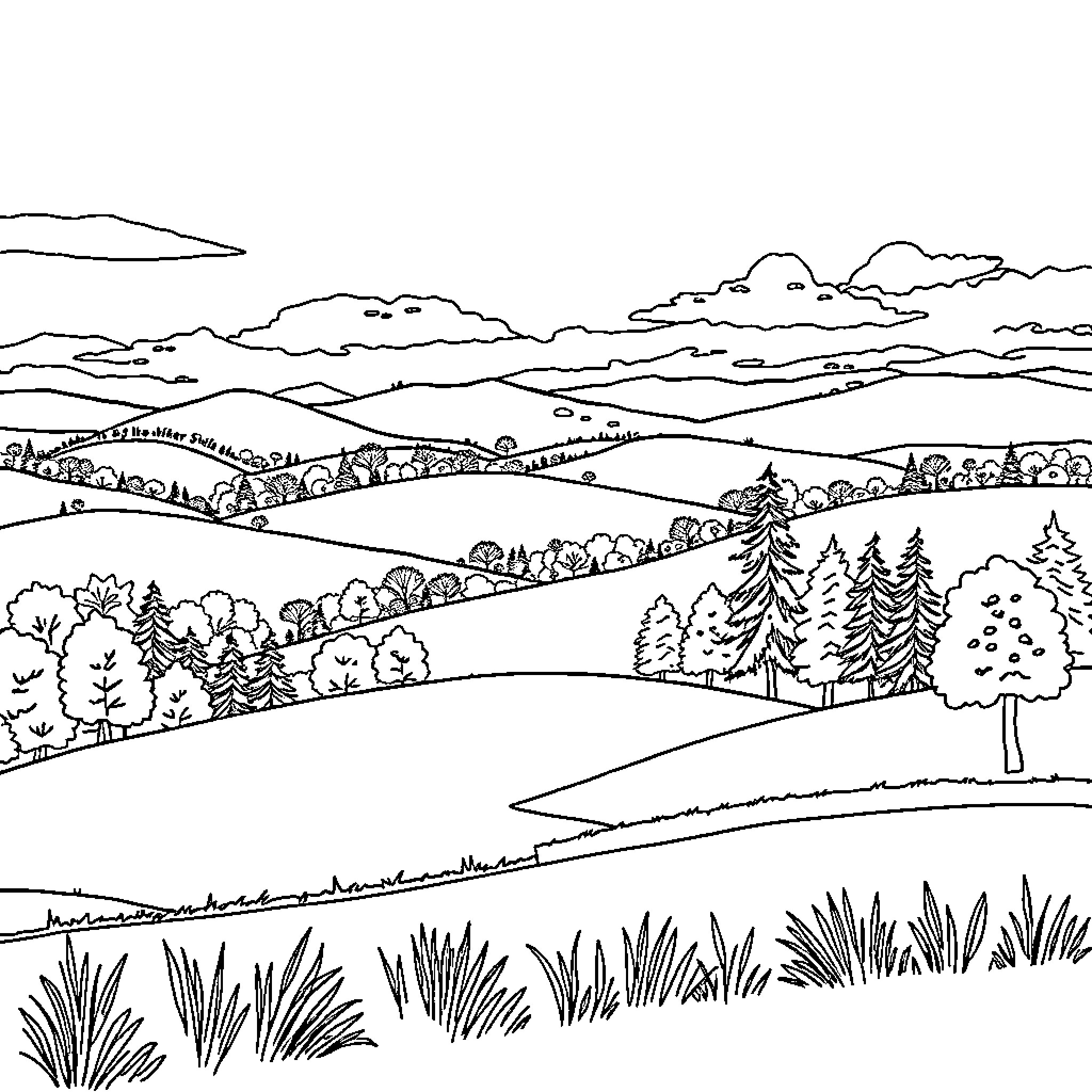 Landscape of rolling hills and pine forests Coloring Page (free black-and-white line drawing printable PDF for all, from beginners to advanced learners, including children, teens, adults, and seniors)