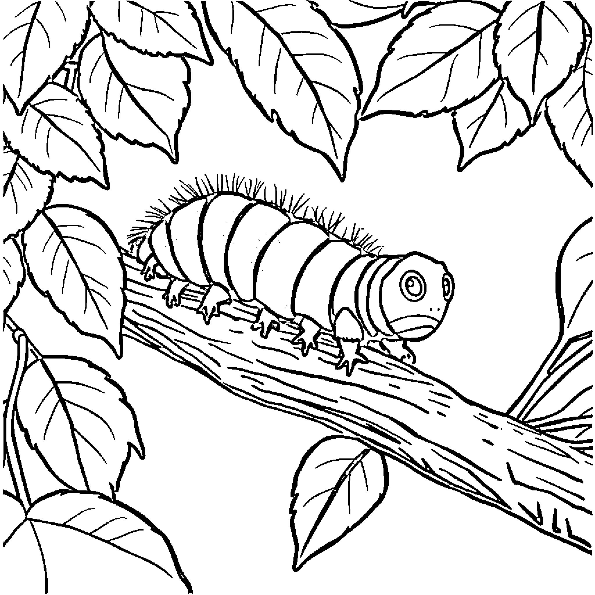 Caterpillar crawling on a branch with leaves Coloring Page (free black-and-white line drawing printable PDF for all, from beginners to advanced learners, including children, teens, adults, and seniors)