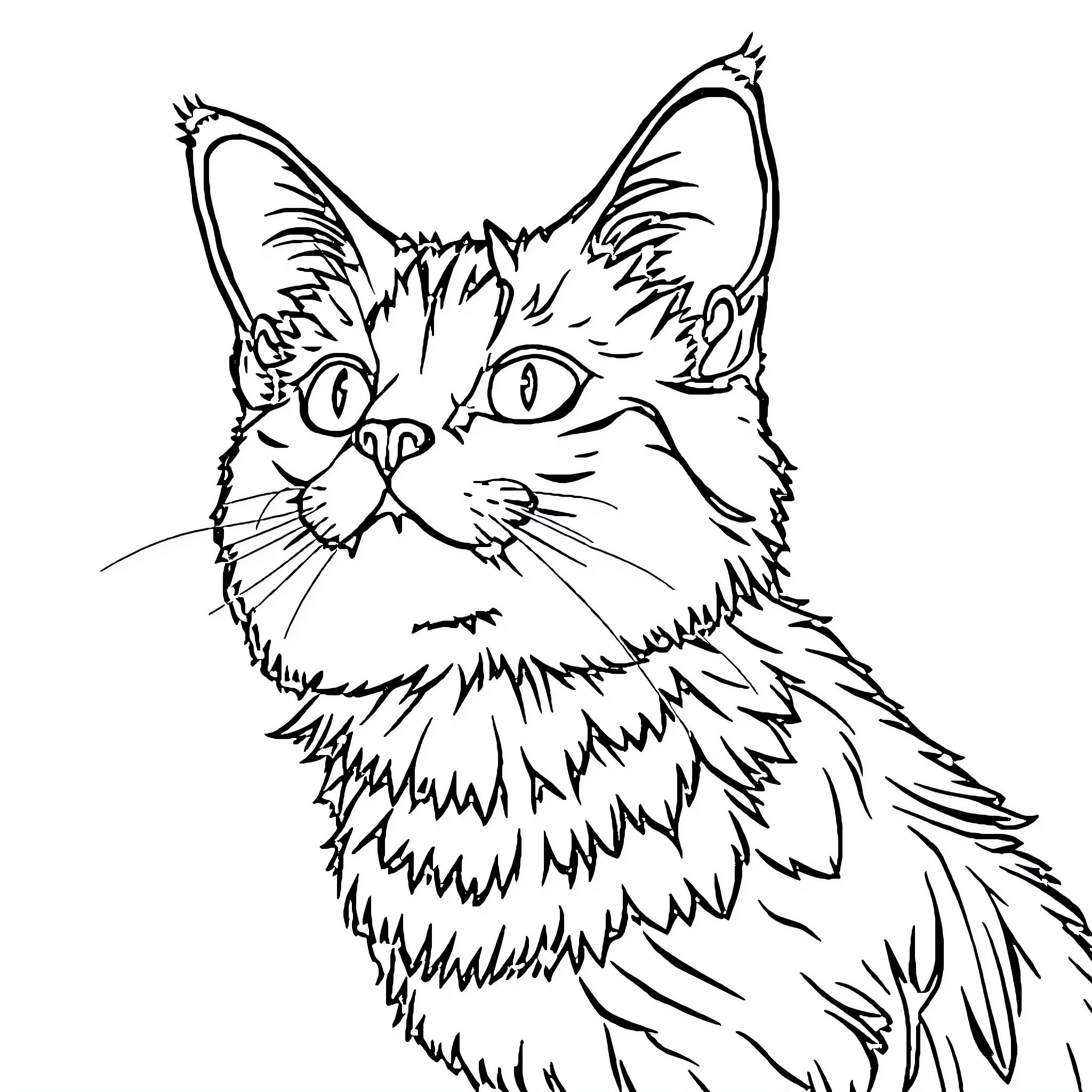 Cat with curious gaze Coloring Page (free black-and-white line drawing printable PDF for all, from beginners to advanced learners, including children, teens, adults, and seniors)