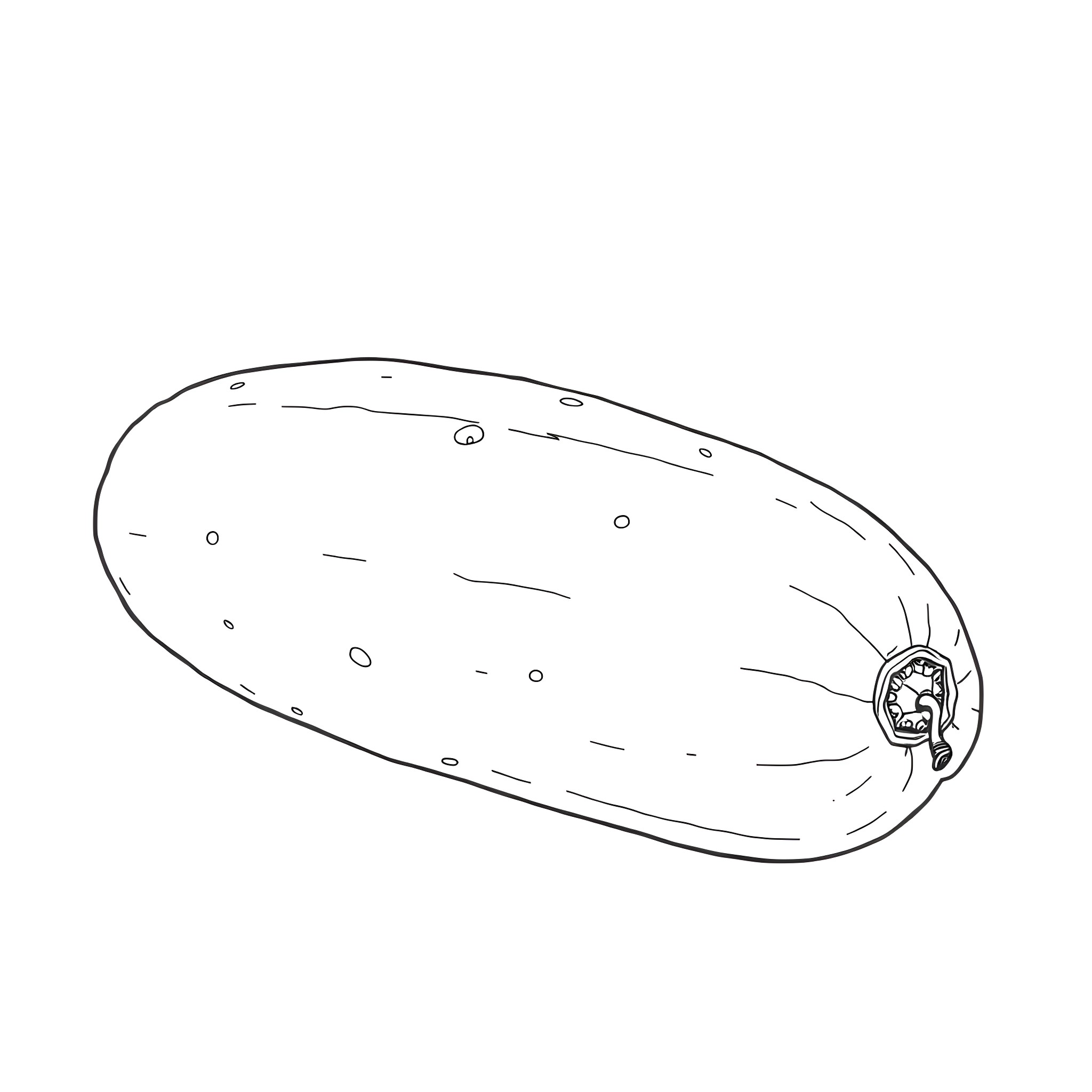 Cucumber with unusual markings Coloring Page (free black-and-white line drawing printable PDF for all, from beginners to advanced learners, including children, teens, adults, and seniors)