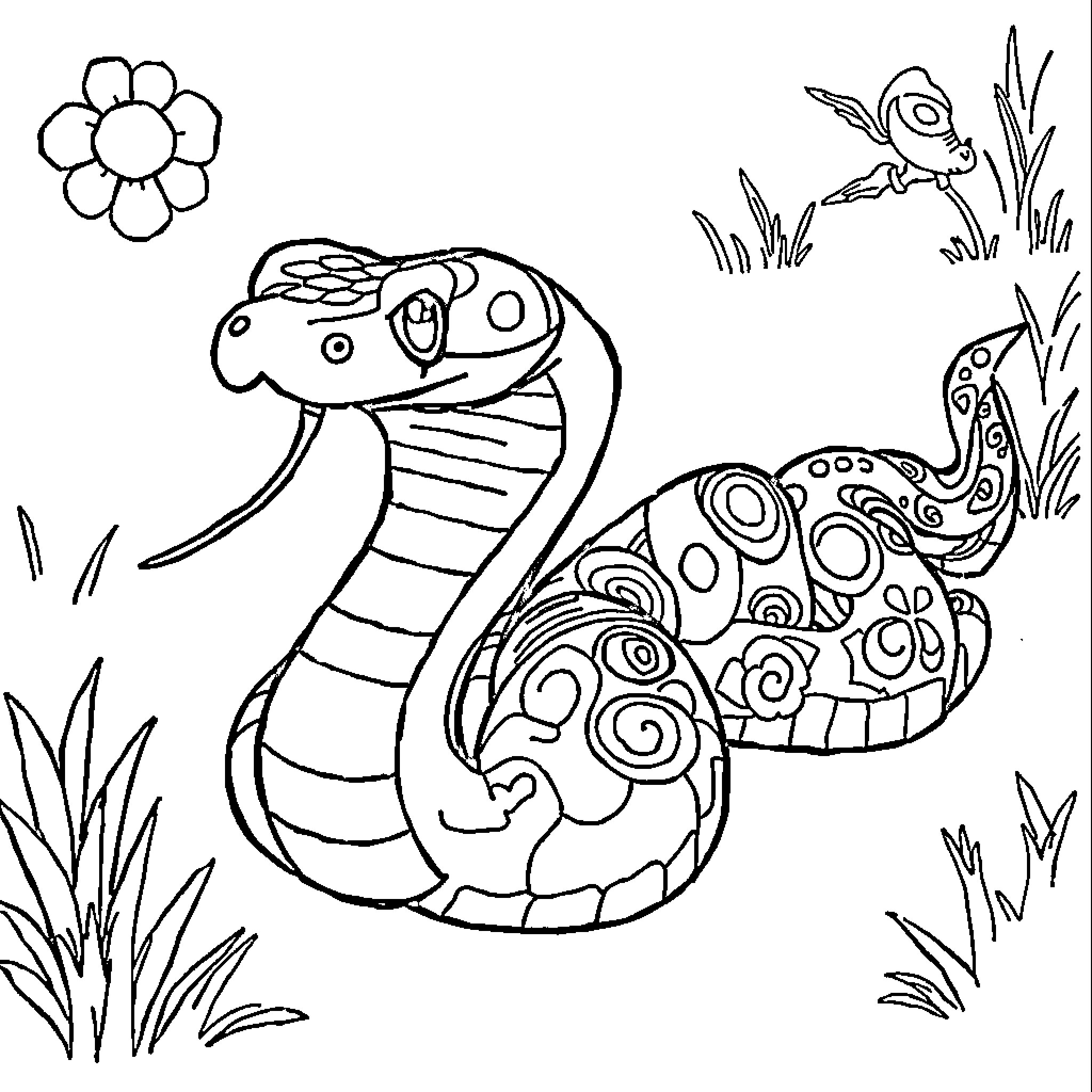 Snake with intricate patterns exploring nature Coloring Page (free black-and-white line drawing printable PDF for all, from beginners to advanced learners, including children, teens, adults, and seniors)