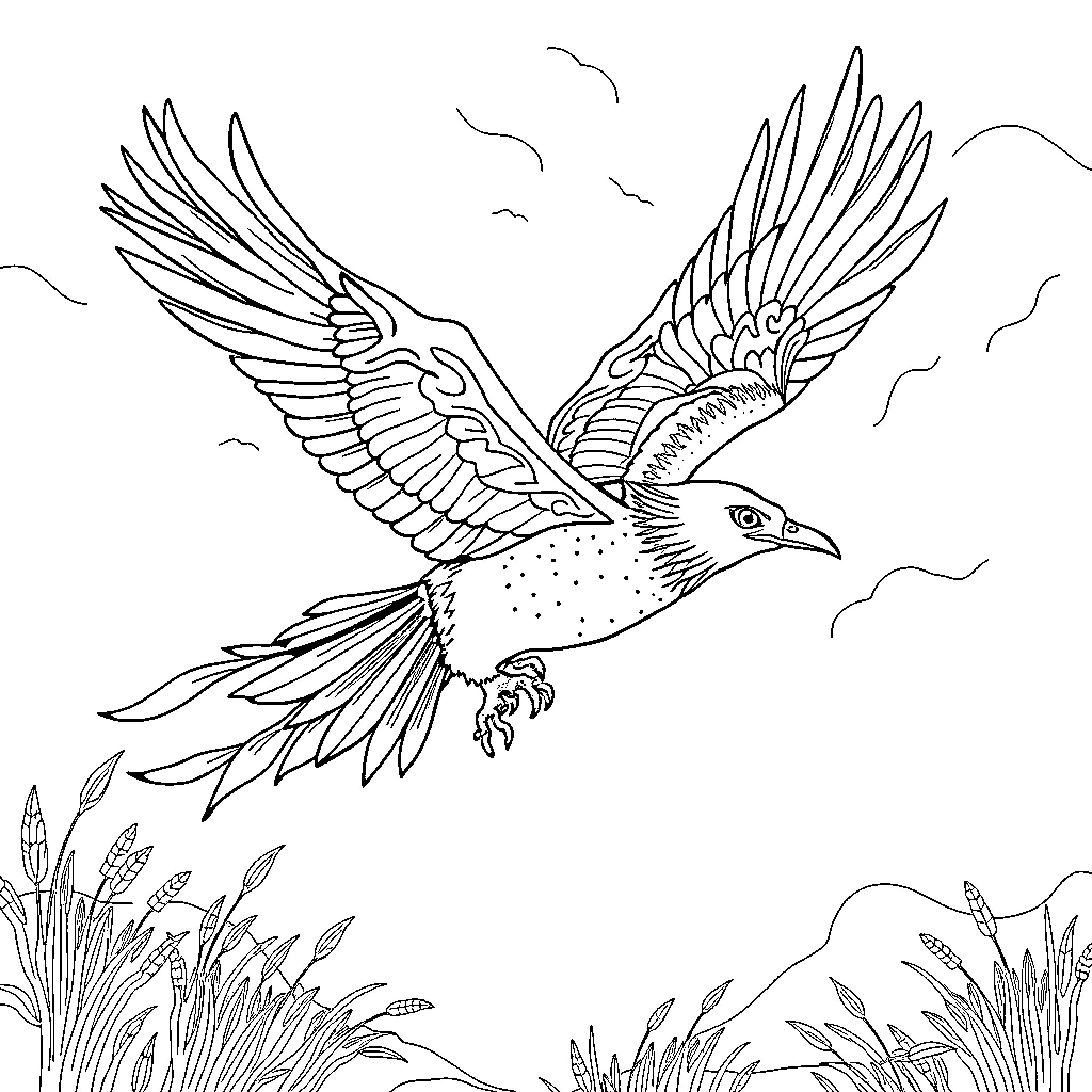 Thunderbird soaring gracefully through the skies Coloring Page (free black-and-white line drawing printable PDF for all, from beginners to advanced learners, including children, teens, adults, and seniors)