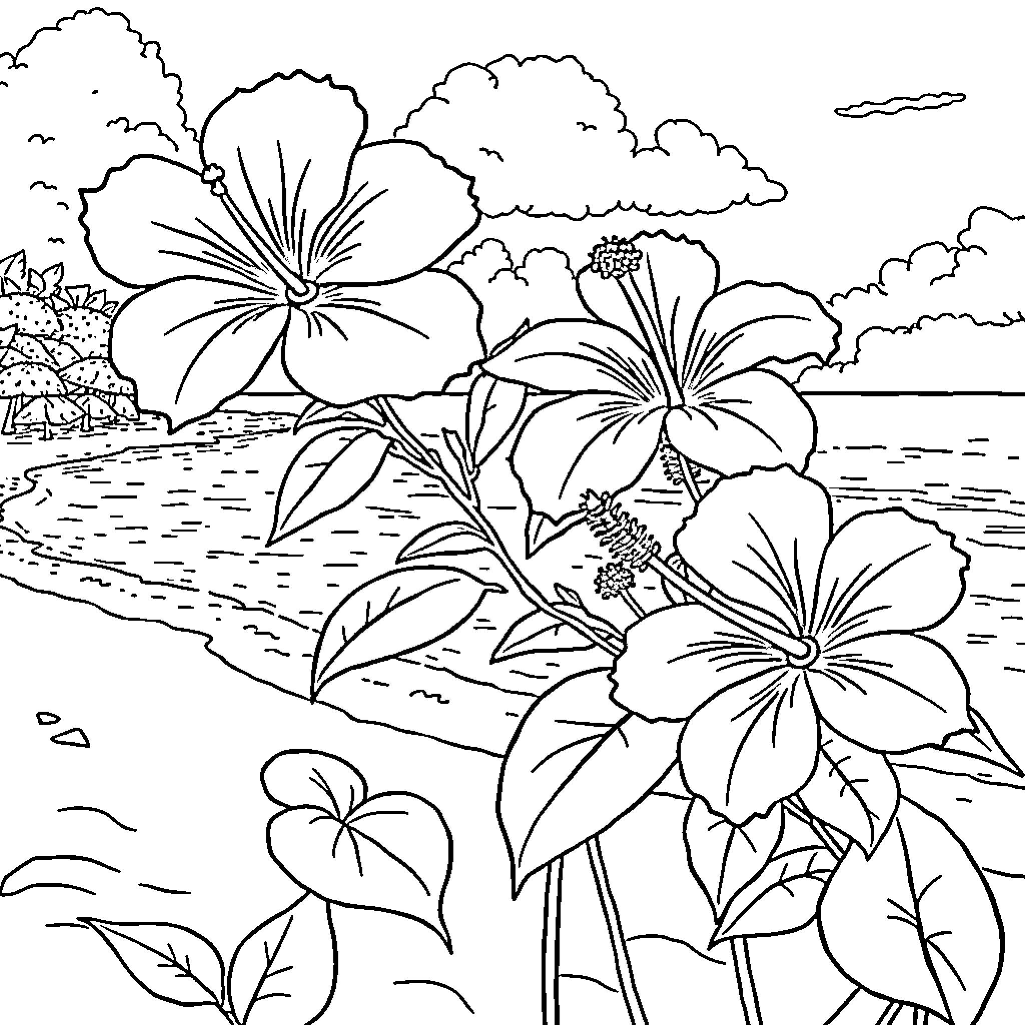 Hibiscus flowers blooming by the ocean Coloring Page (free black-and-white line drawing printable PDF for all, from beginners to advanced learners, including children, teens, adults, and seniors)