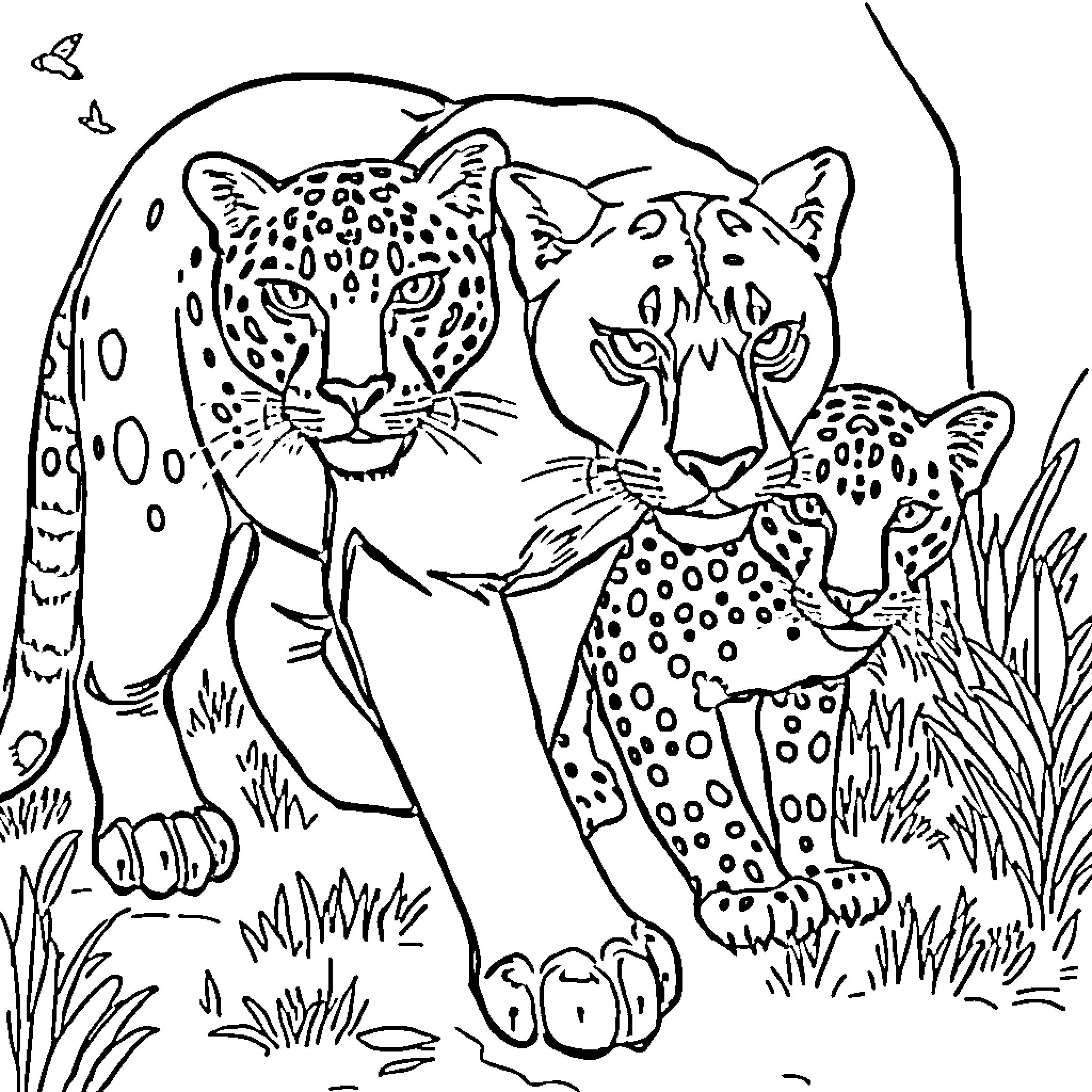Panther family in the wild Coloring Page (free black-and-white line drawing printable PDF for all, from beginners to advanced learners, including children, teens, adults, and seniors)