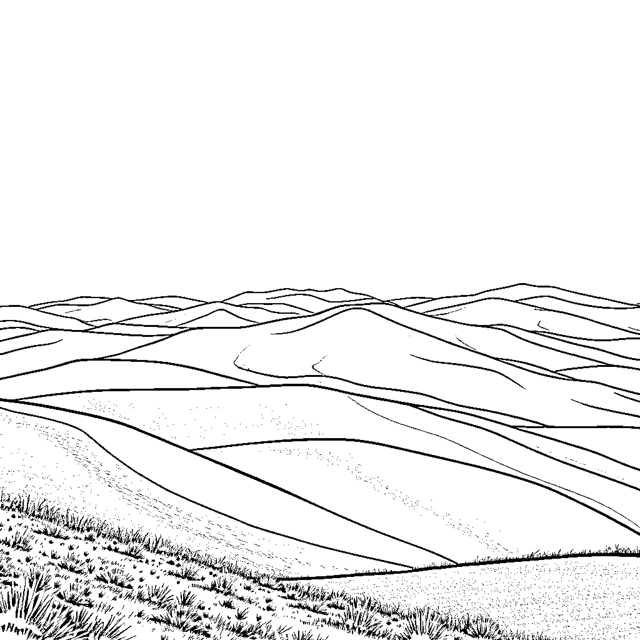 Hill Landscape with Winding Paths and Vegetation Coloring Page (free black-and-white line drawing printable PDF for all, from beginners to advanced learners, including children, teens, adults, and seniors)