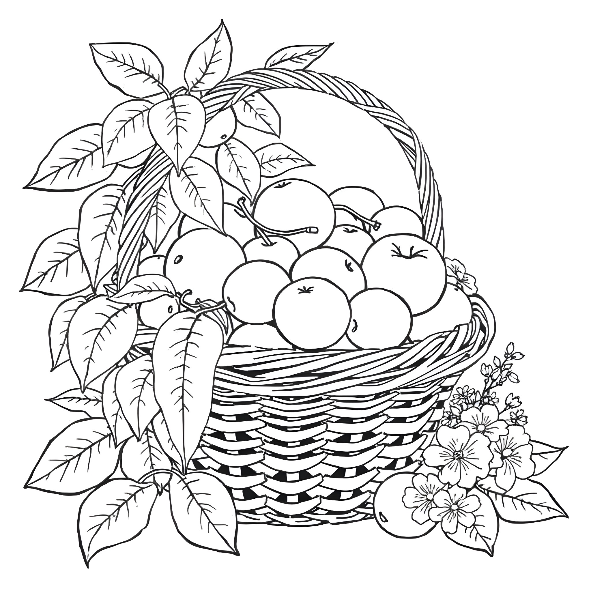 Fruit Basket with Leaves and Flowers Coloring Page (free black-and-white line drawing printable PDF for all, from beginners to advanced learners, including children, teens, adults, and seniors)