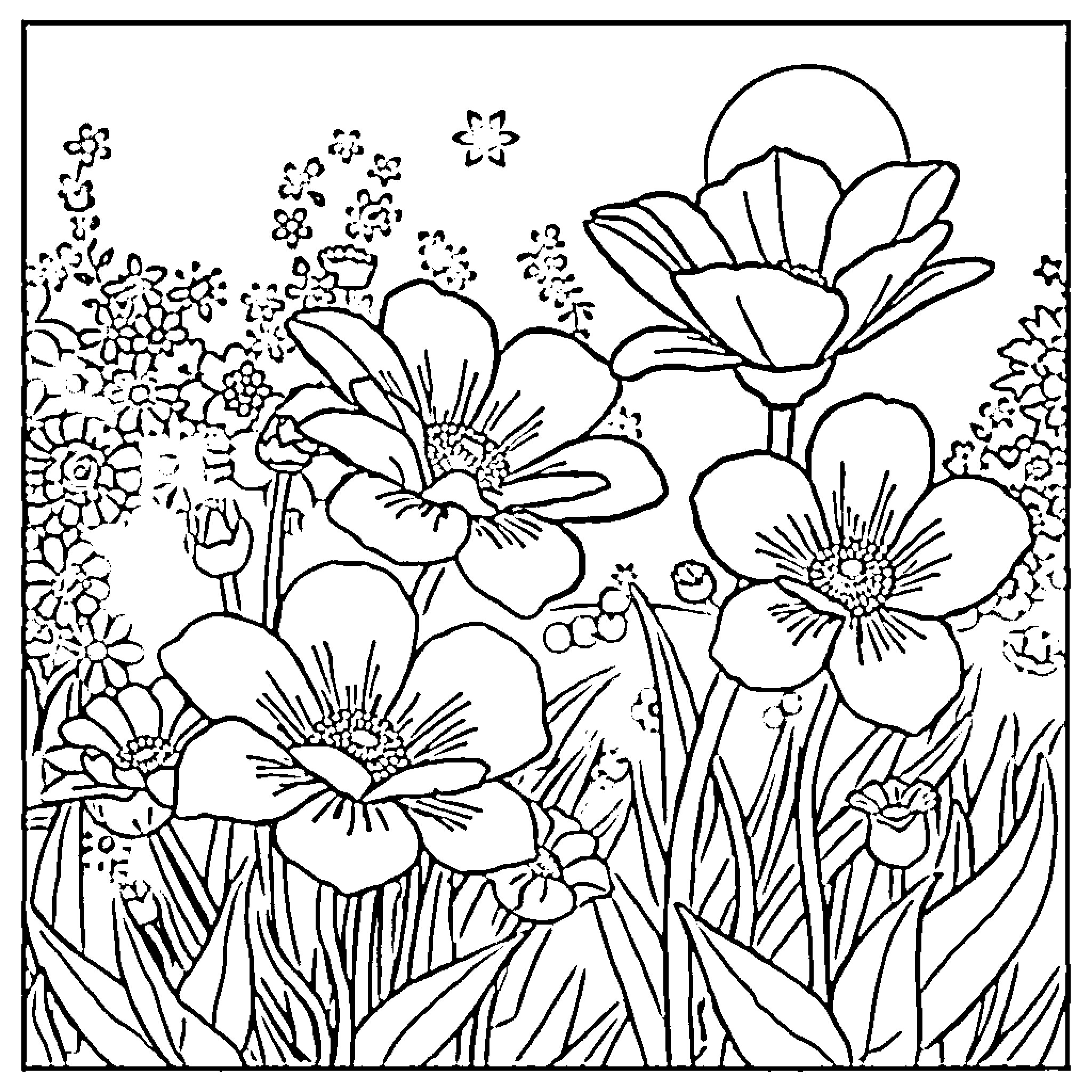 Flower Garden with Blooming Flowers Coloring Page (free black-and-white line drawing printable PDF for all, from beginners to advanced learners, including children, teens, adults, and seniors)