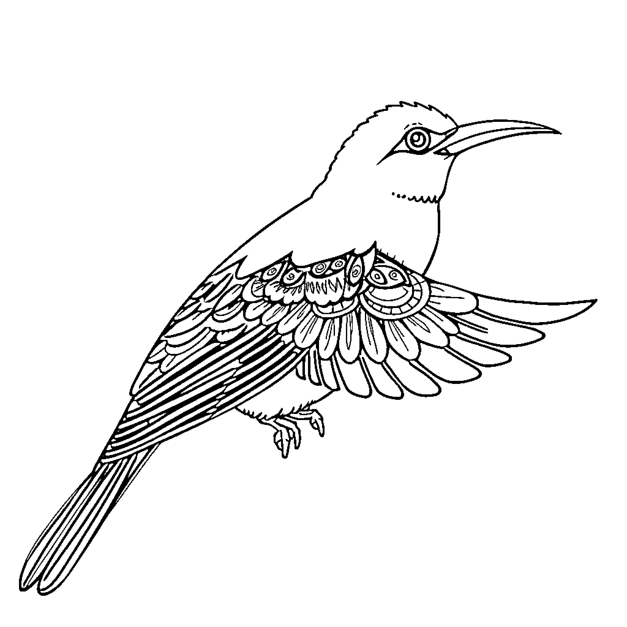 Fantail bird in intricate feather design Coloring Page (free black-and-white line drawing printable PDF for all, from beginners to advanced learners, including children, teens, adults, and seniors)