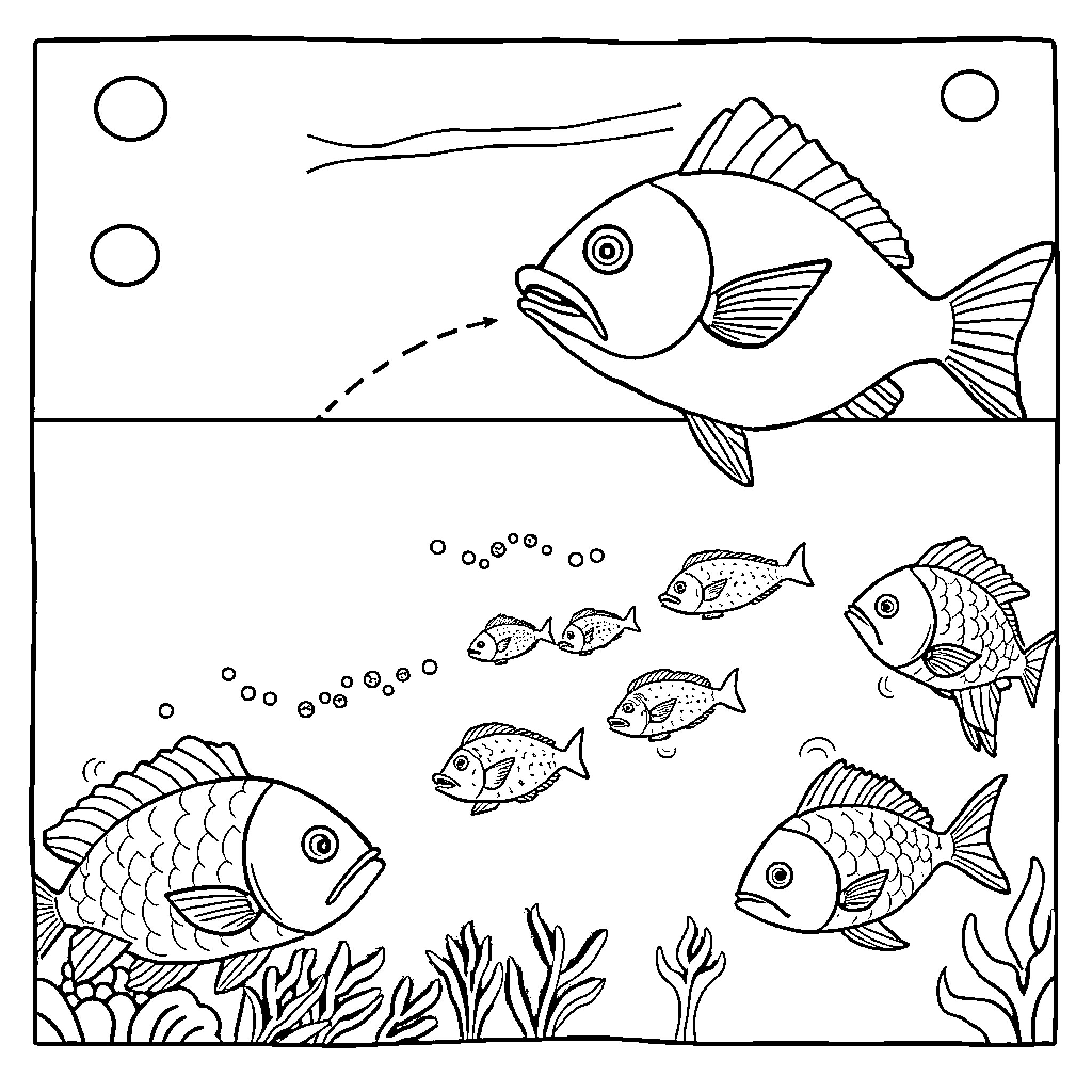Plankton swimming in an underwater scene Coloring Page (free black-and-white line drawing printable PDF for all, from beginners to advanced learners, including children, teens, adults, and seniors)