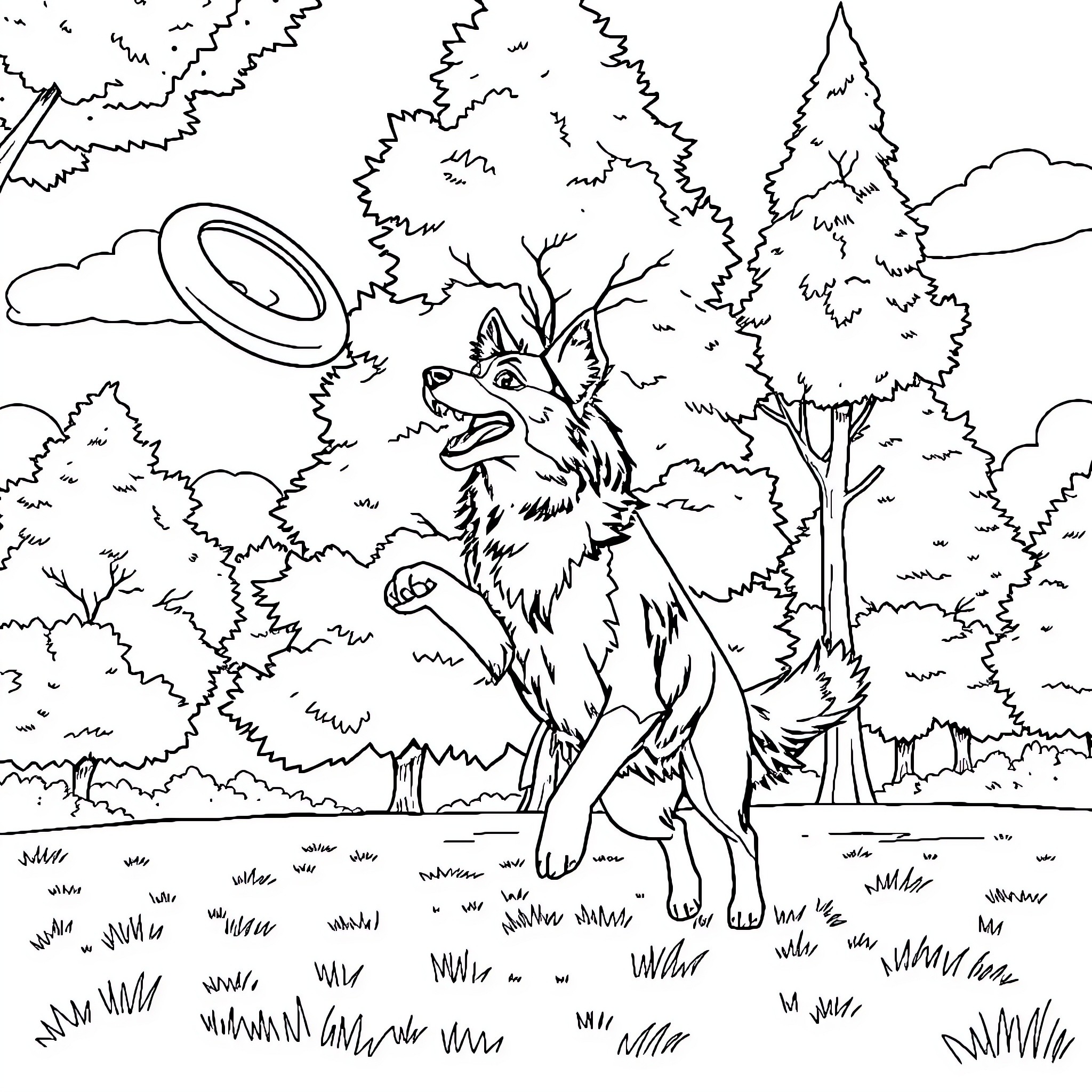 Border Collie playing with frisbee in forest Coloring Page (free black-and-white line drawing printable PDF for all, from beginners to advanced learners, including children, teens, adults, and seniors)