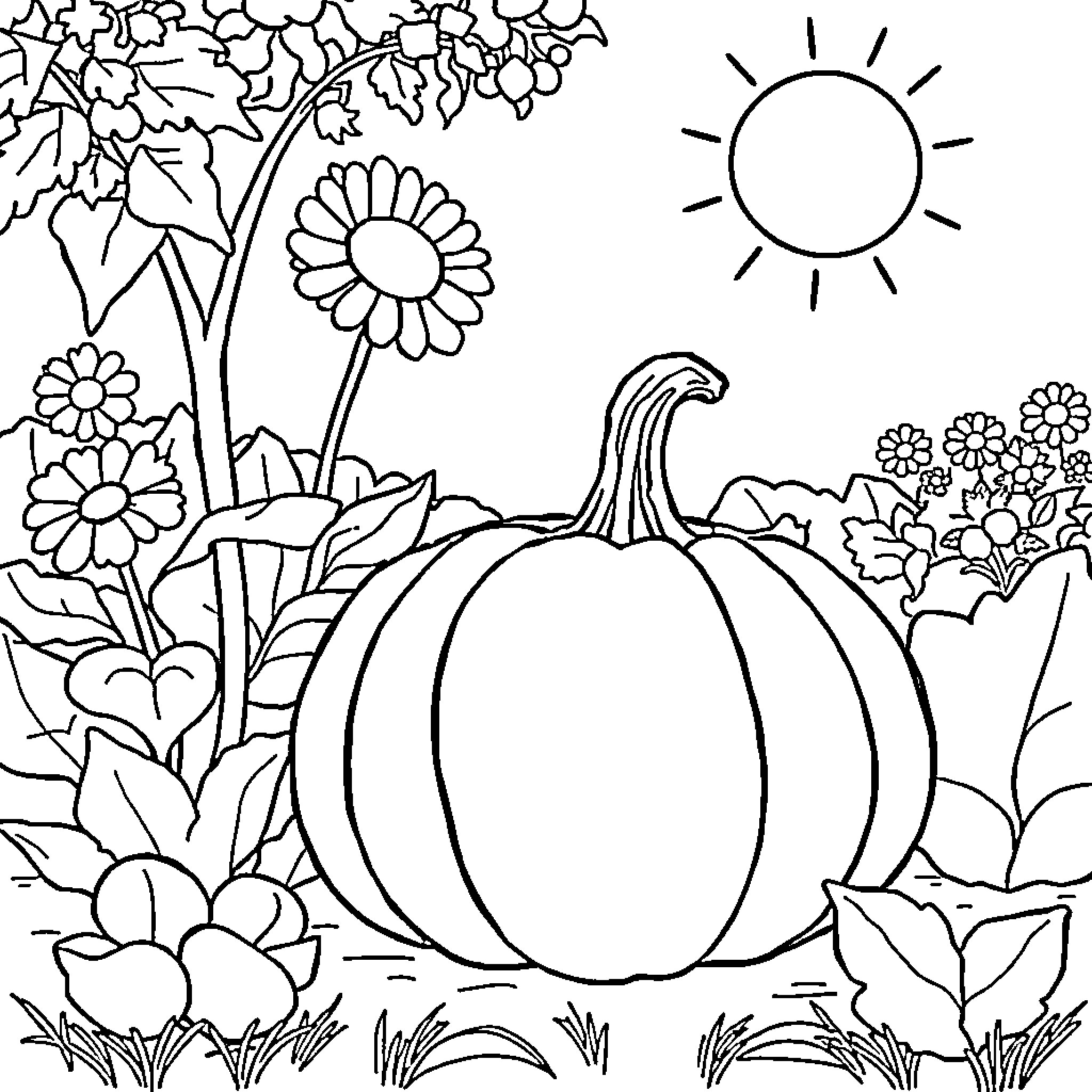 Pumpkin in Autumn Floral Garden Coloring Page (free black-and-white line drawing printable PDF for all, from beginners to advanced learners, including children, teens, adults, and seniors)