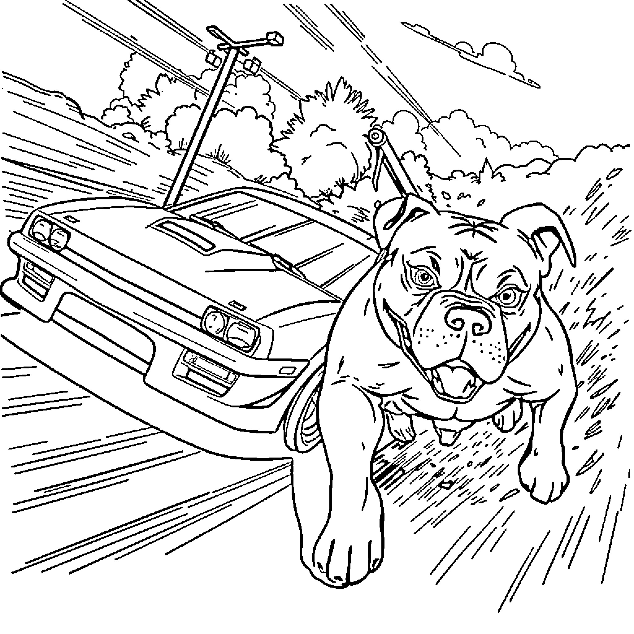 Pitbull chasing high-speed car in rainstorm Coloring Page (free black-and-white line drawing printable PDF for all, from beginners to advanced learners, including children, teens, adults, and seniors)