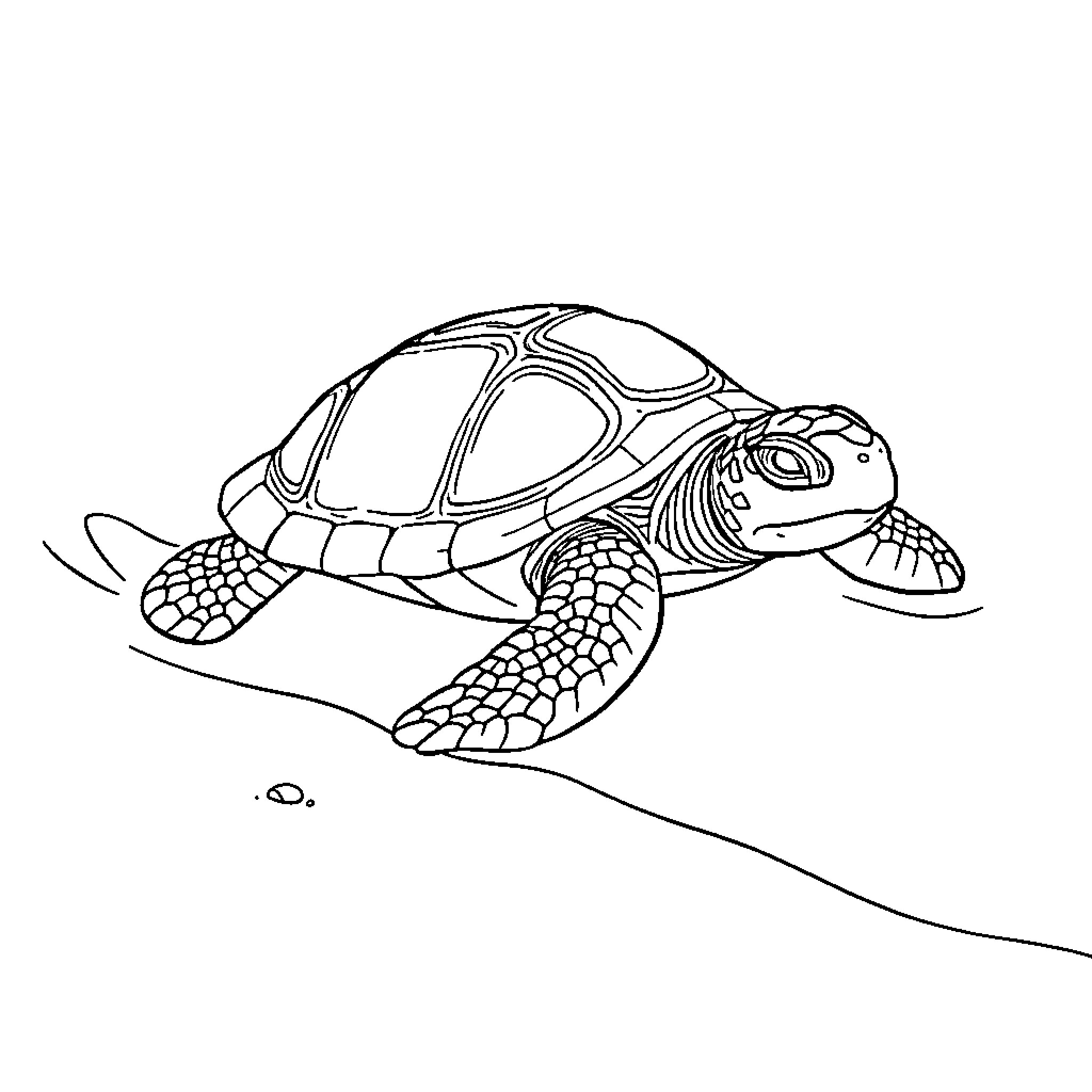 Turt swimming gracefully in the ocean Coloring Page (free black-and-white line drawing printable PDF for all, from beginners to advanced learners, including children, teens, adults, and seniors)