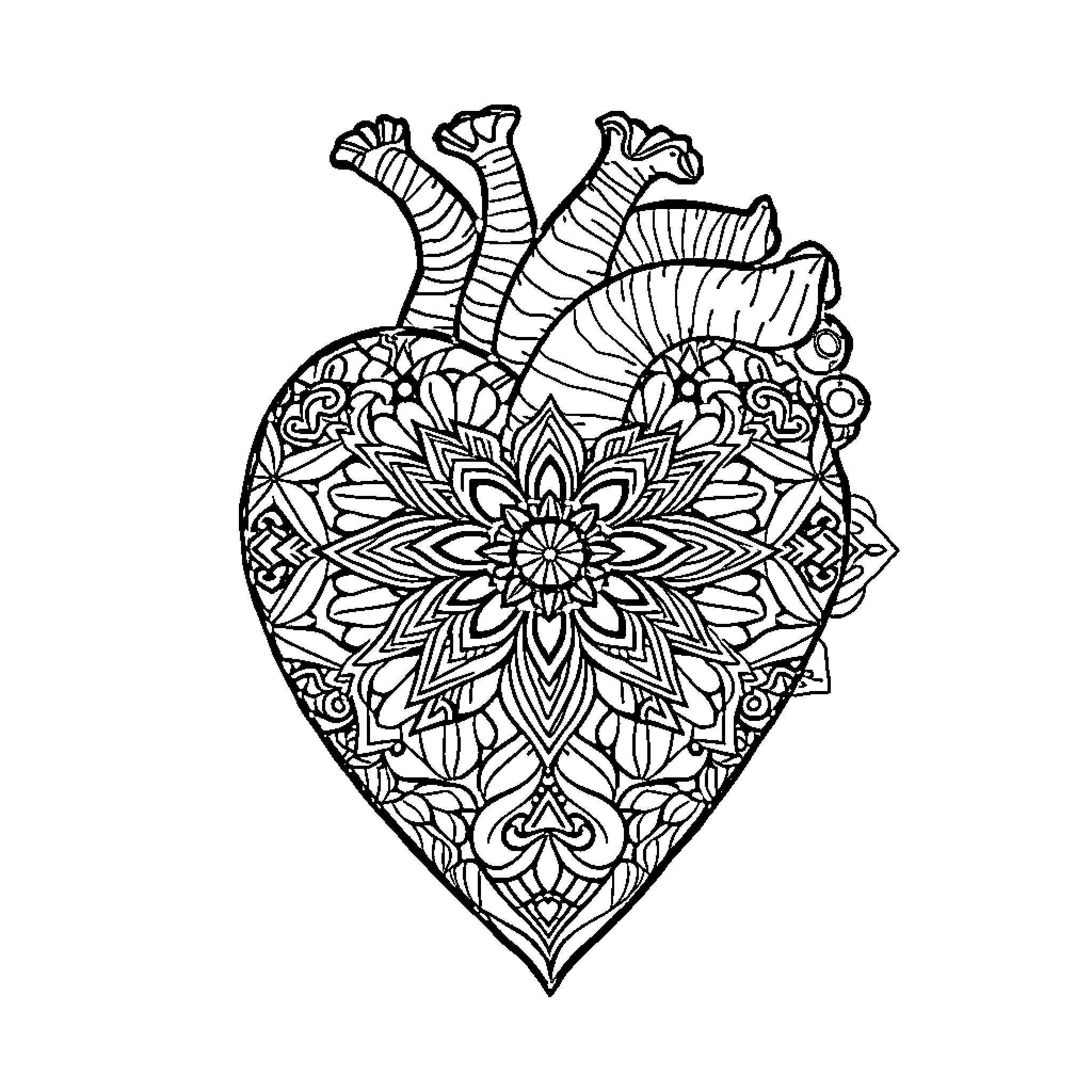Heart Filled with Intricate Floral Designs Coloring Page (free black-and-white line drawing printable PDF for all, from beginners to advanced learners, including children, teens, adults, and seniors)