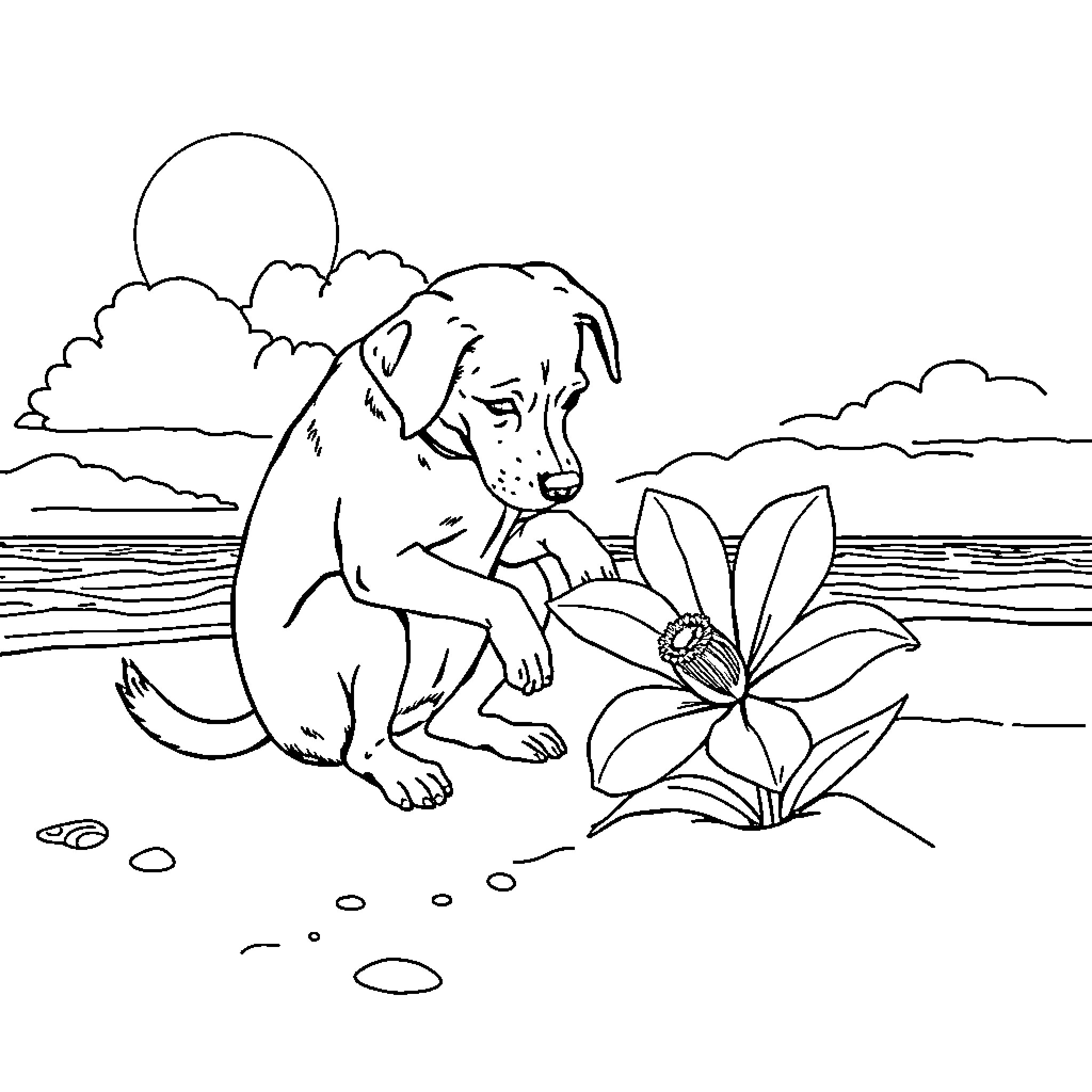 Dog relaxing by the water with flowers Coloring Page (free black-and-white line drawing printable PDF for all, from beginners to advanced learners, including children, teens, adults, and seniors)