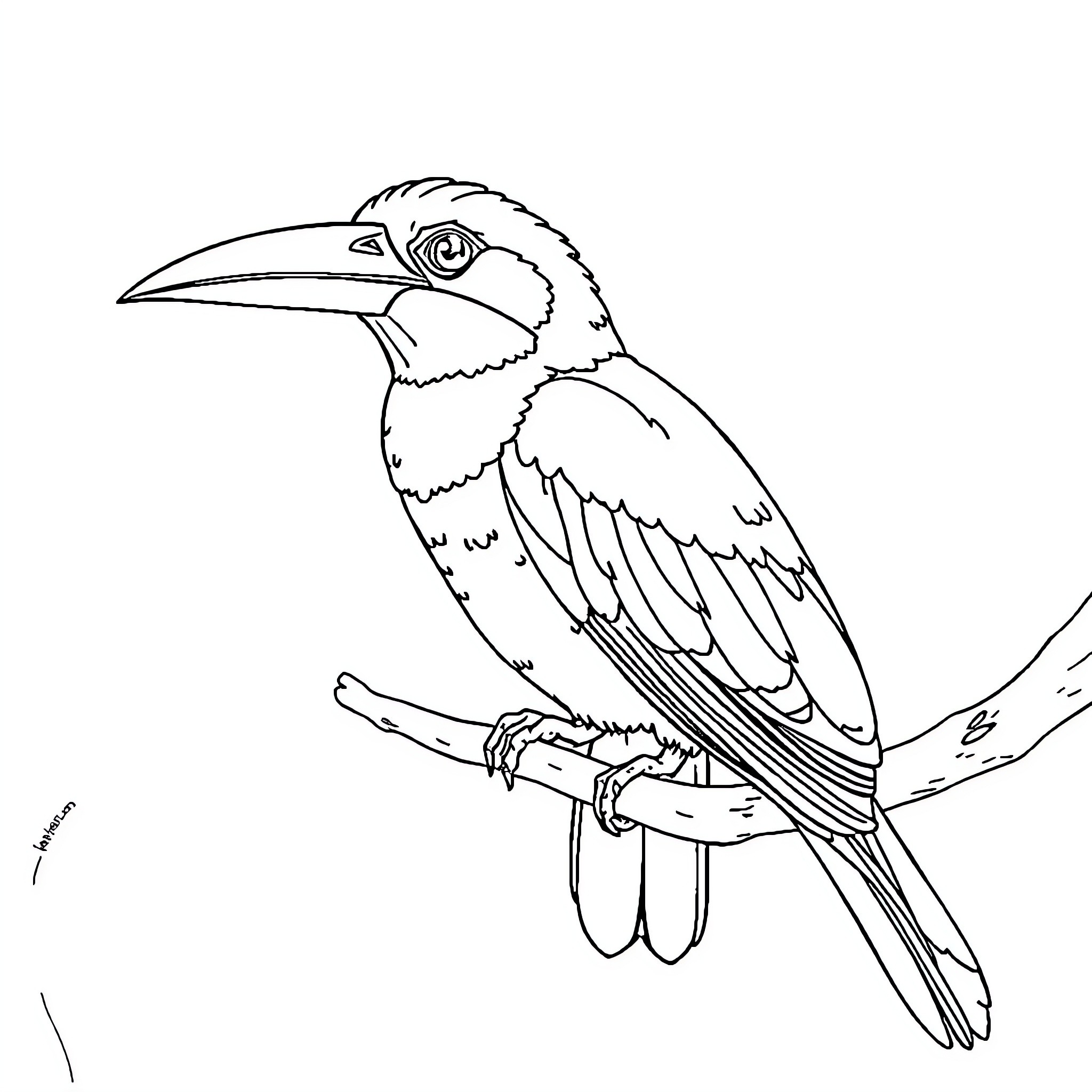 Weiro Bird perched on branch Coloring Page (free black-and-white line drawing printable PDF for all, from beginners to advanced learners, including children, teens, adults, and seniors)