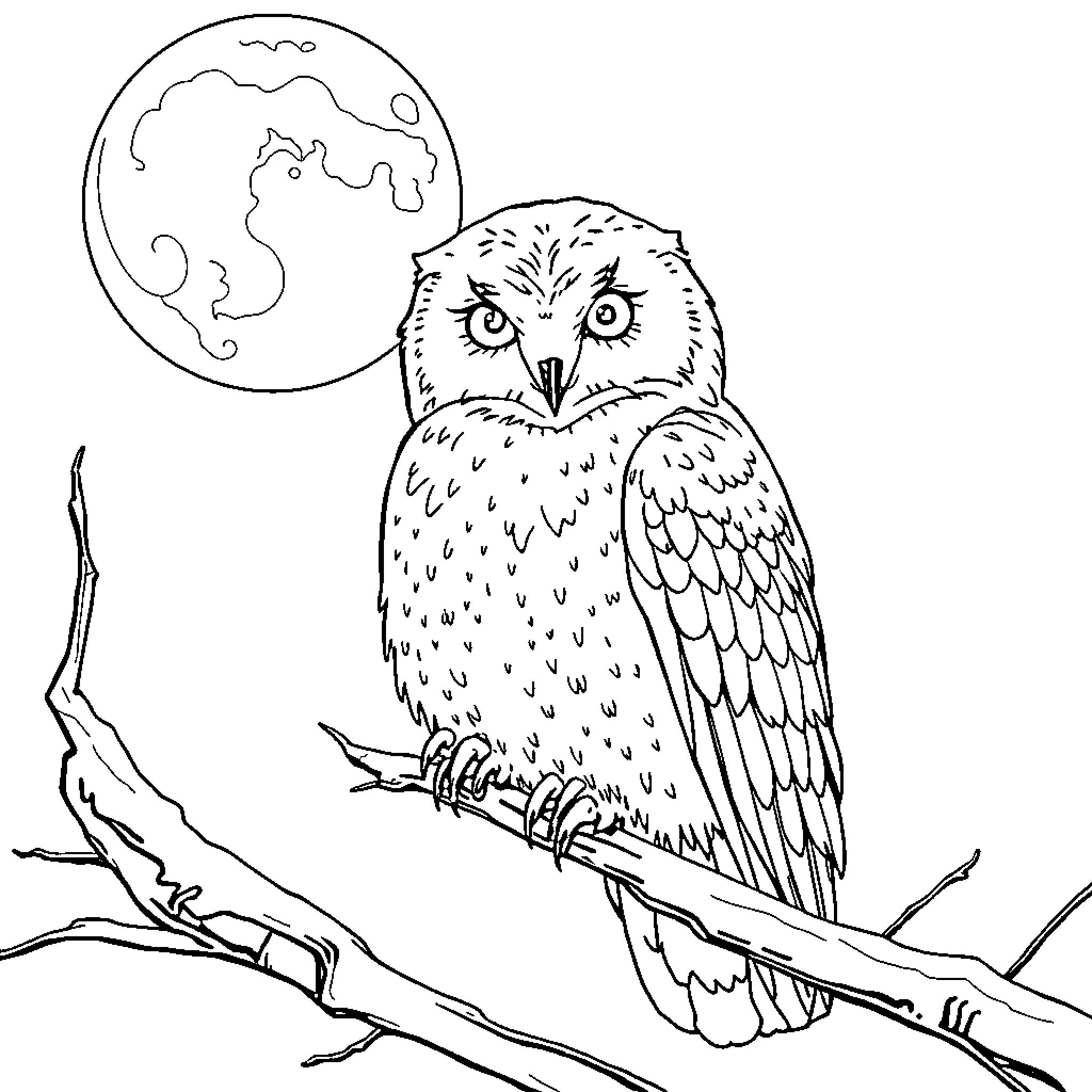 Hedwig perched on a branch under the moon Coloring Page (free black-and-white line drawing printable PDF for all, from beginners to advanced learners, including children, teens, adults, and seniors)