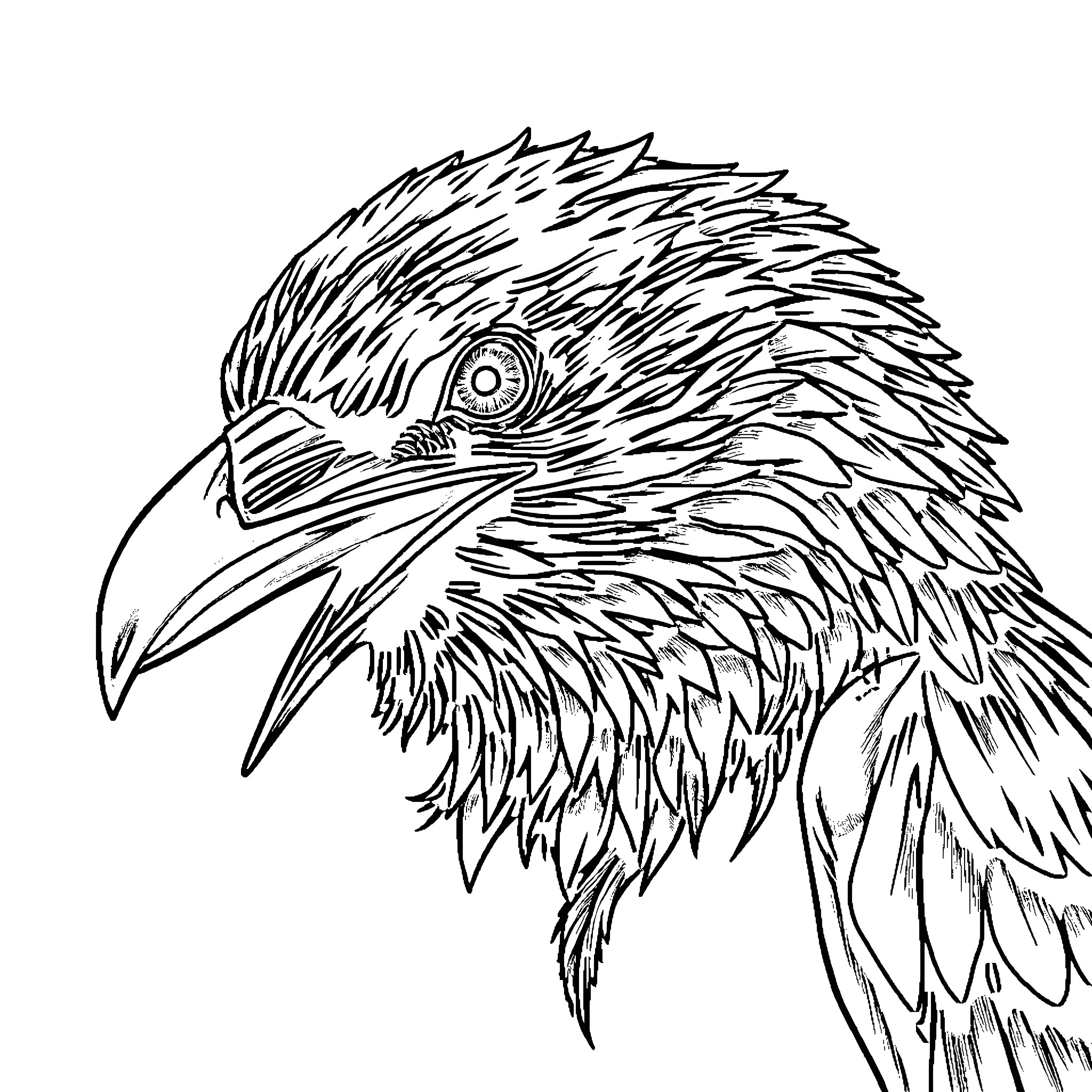 Raven with Fierce Gaze and Detailed Feathers Coloring Page (free black-and-white line drawing printable PDF for all, from beginners to advanced learners, including children, teens, adults, and seniors)