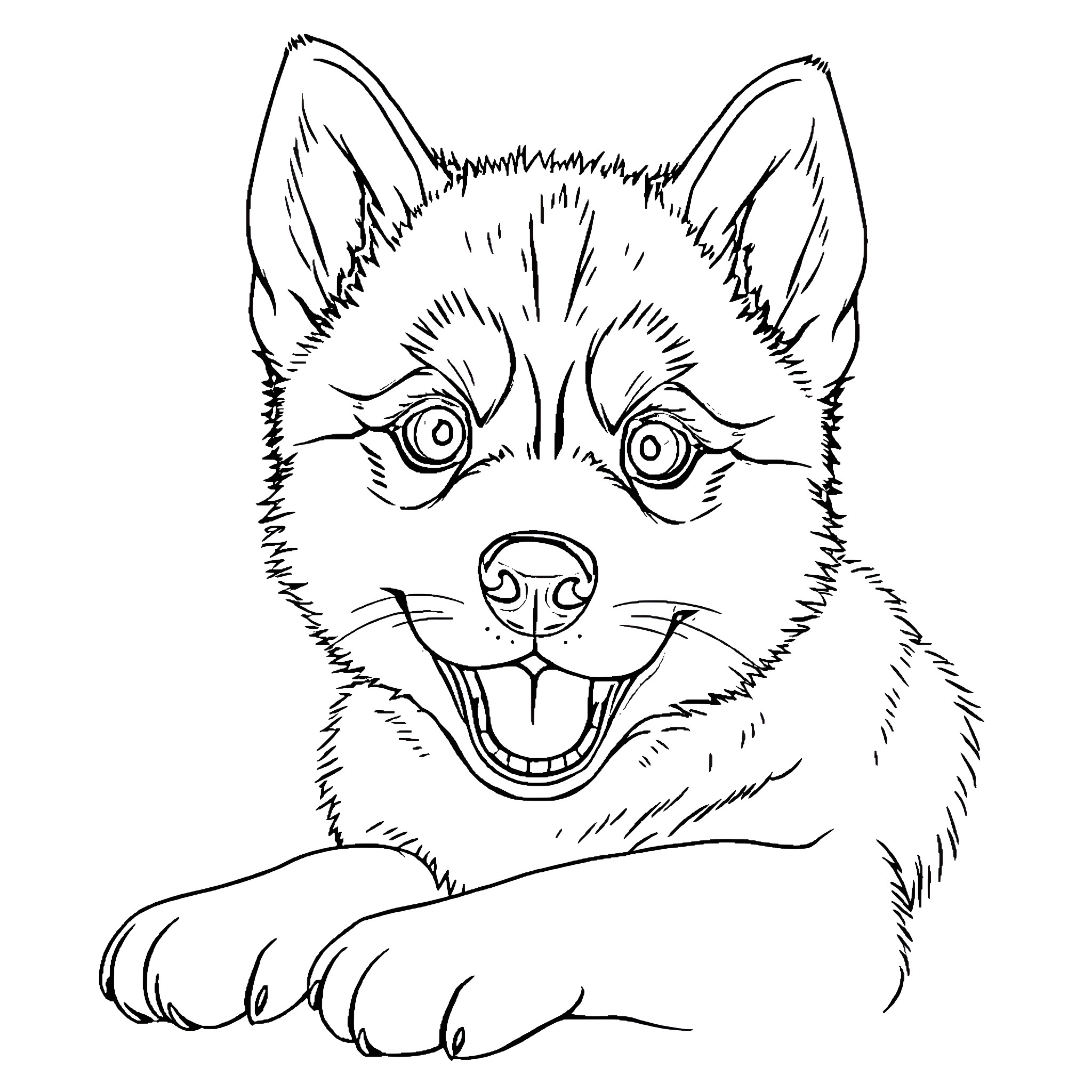 Husky Puppy Grinning Happily Coloring Page (free black-and-white line drawing printable PDF for all, from beginners to advanced learners, including children, teens, adults, and seniors)