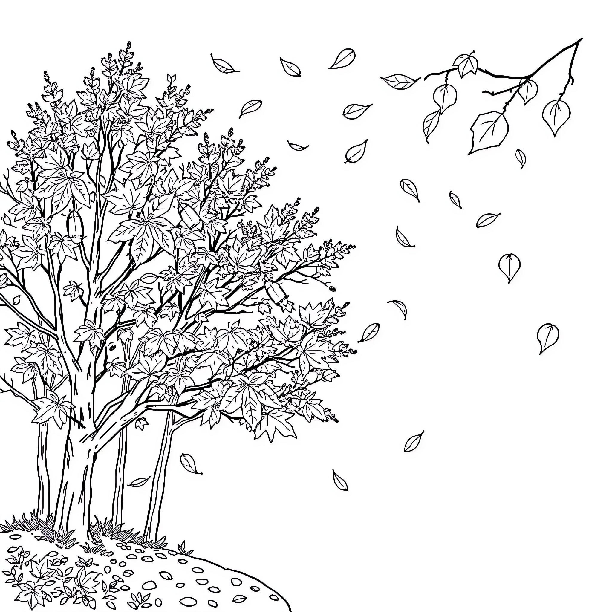 Autumn Tree Shedding Leaves Coloring Page (free black-and-white line drawing printable PDF for all, from beginners to advanced learners, including children, teens, adults, and seniors)