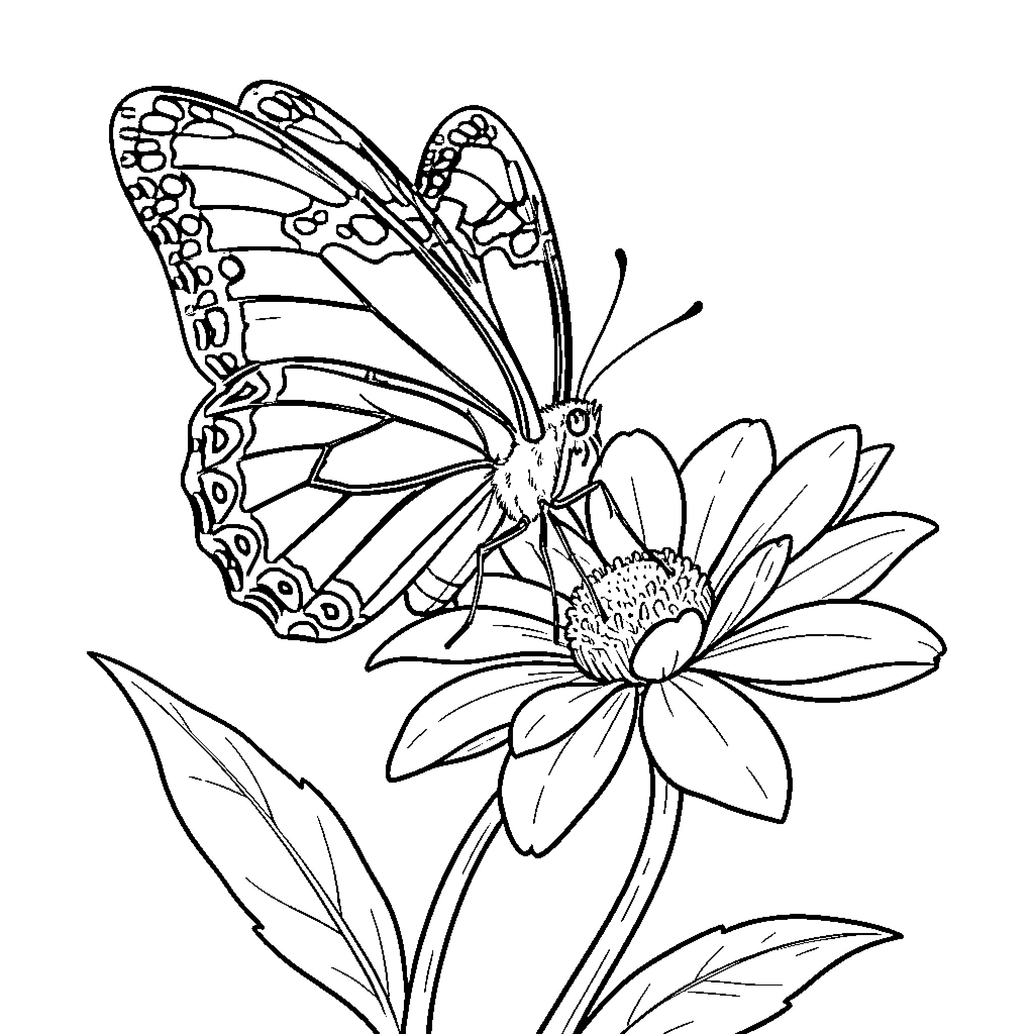 Butterfly resting gently on a blooming flower Coloring Page (free black-and-white line drawing printable PDF for all, from beginners to advanced learners, including children, teens, adults, and seniors)