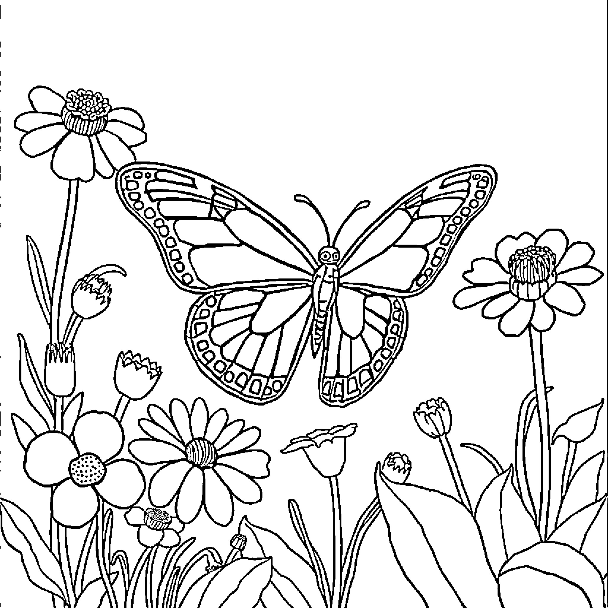 Butterfly dancing among flowers in garden Coloring Page (free black-and-white line drawing printable PDF for all, from beginners to advanced learners, including children, teens, adults, and seniors)