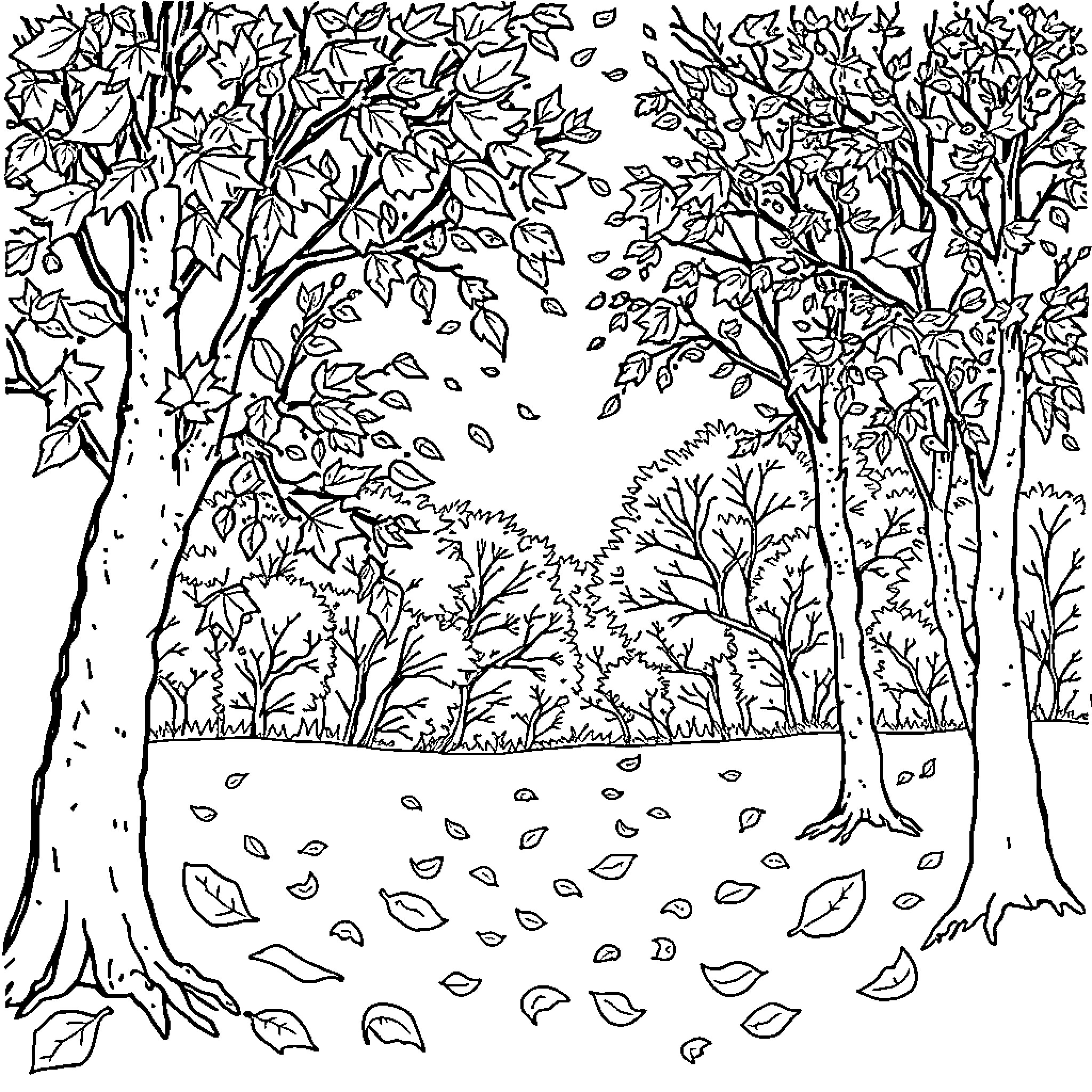 November forest scene with falling leaves Coloring Page (free black-and-white line drawing printable PDF for all, from beginners to advanced learners, including children, teens, adults, and seniors)