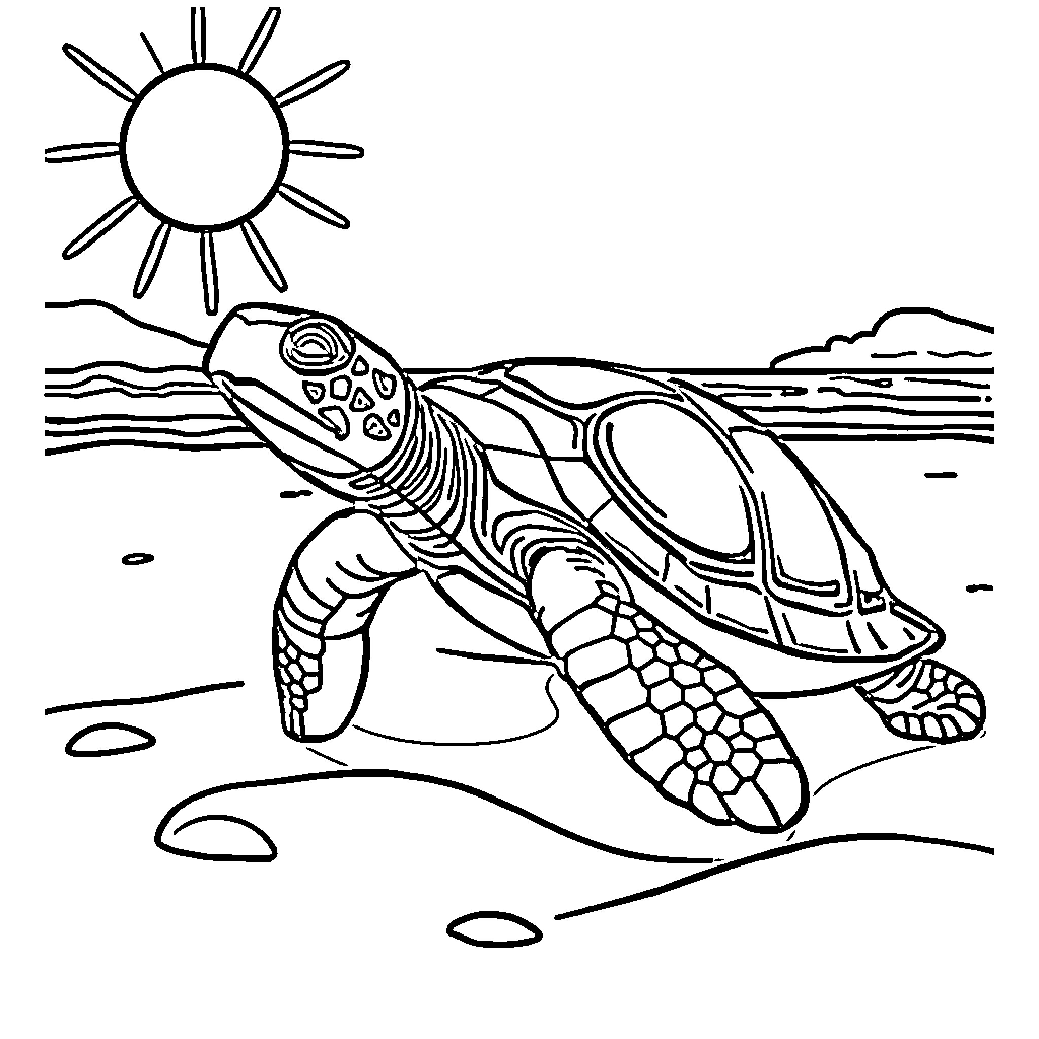 Turtle sunbathing on the beach Coloring Page (free black-and-white line drawing printable PDF for all, from beginners to advanced learners, including children, teens, adults, and seniors)