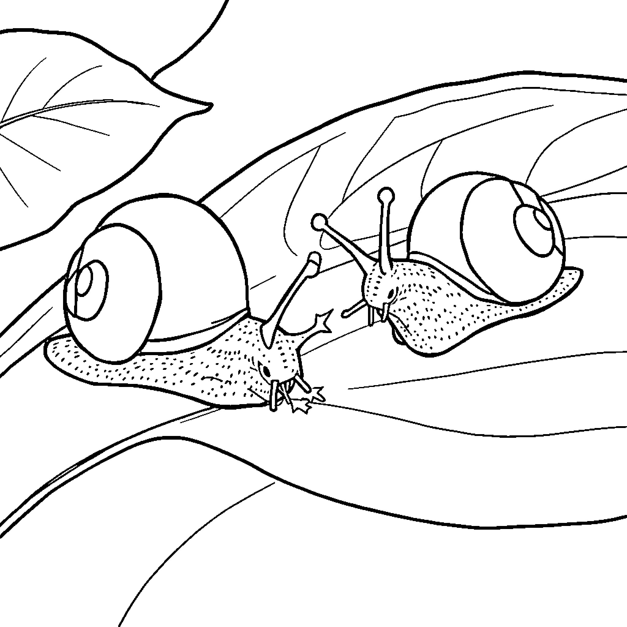 Snail crawling cautiously in the wilderness Coloring Page (free black-and-white line drawing printable PDF for all, from beginners to advanced learners, including children, teens, adults, and seniors)