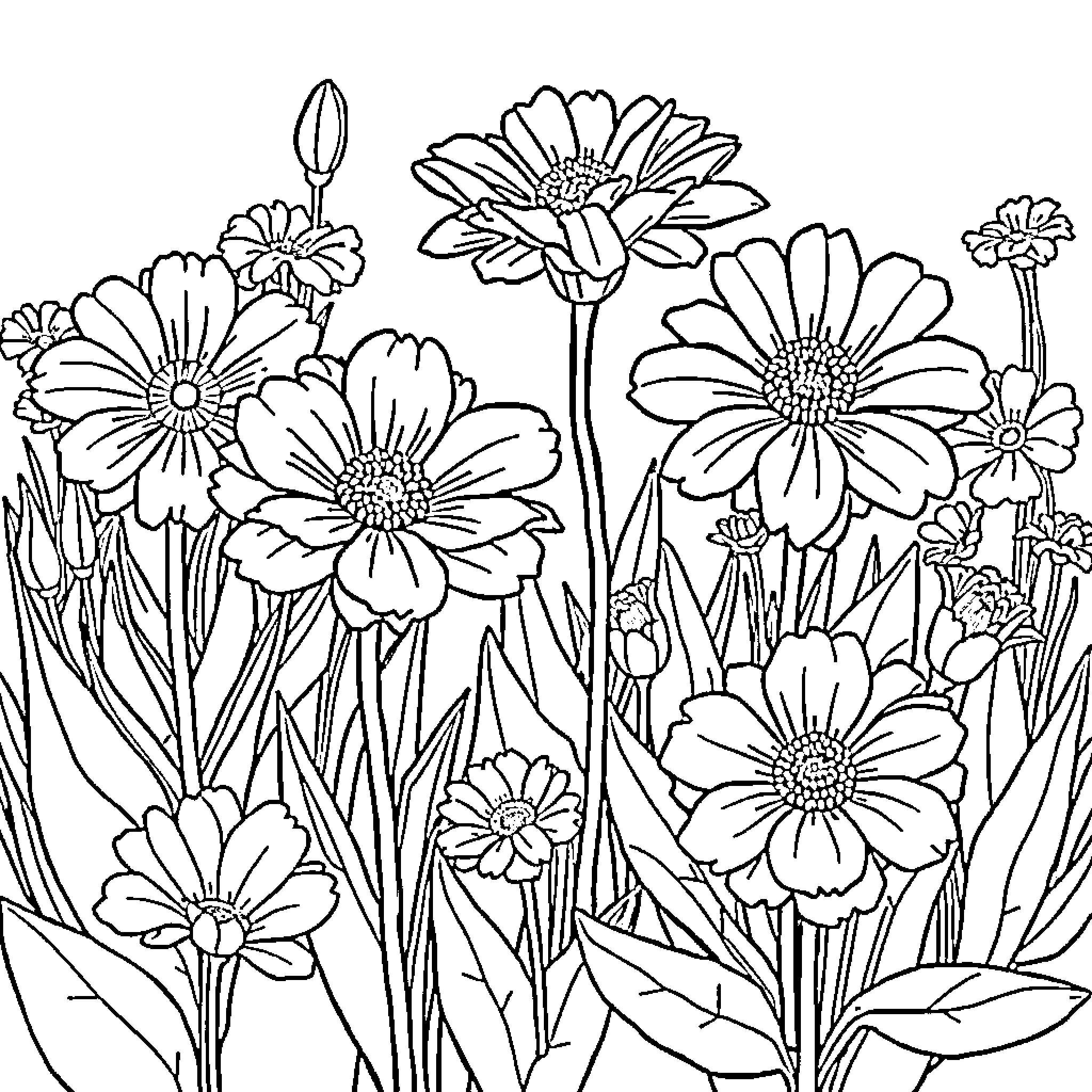 Flower Garden with Vibrant Blooms Coloring Page (free black-and-white line drawing printable PDF for all, from beginners to advanced learners, including children, teens, adults, and seniors)
