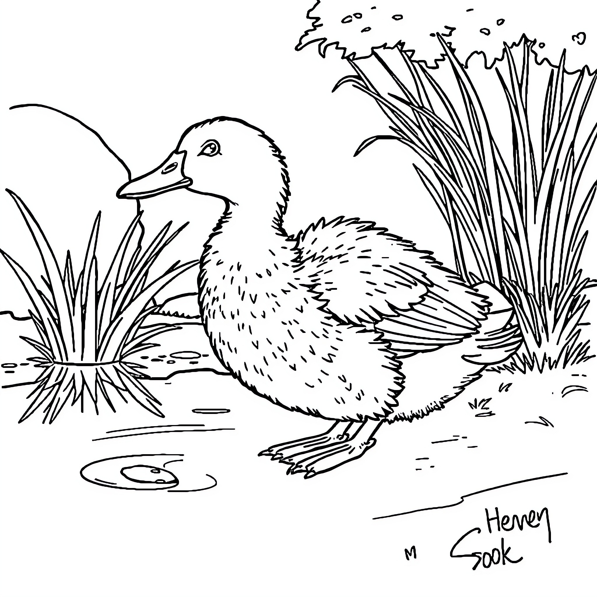 Duck resting in the lush vegetation Coloring Page (free black-and-white line drawing printable PDF for all, from beginners to advanced learners, including children, teens, adults, and seniors)