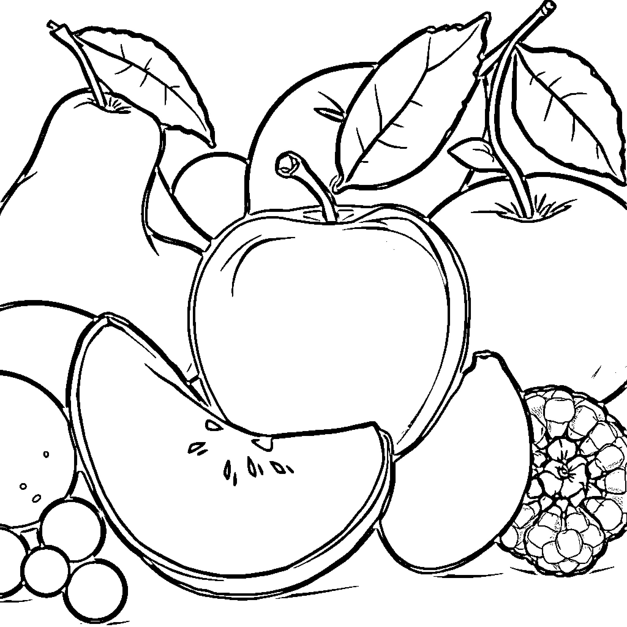 Fruit Arrangement in Black and White Coloring Page (free black-and-white line drawing printable PDF for all, from beginners to advanced learners, including children, teens, adults, and seniors)