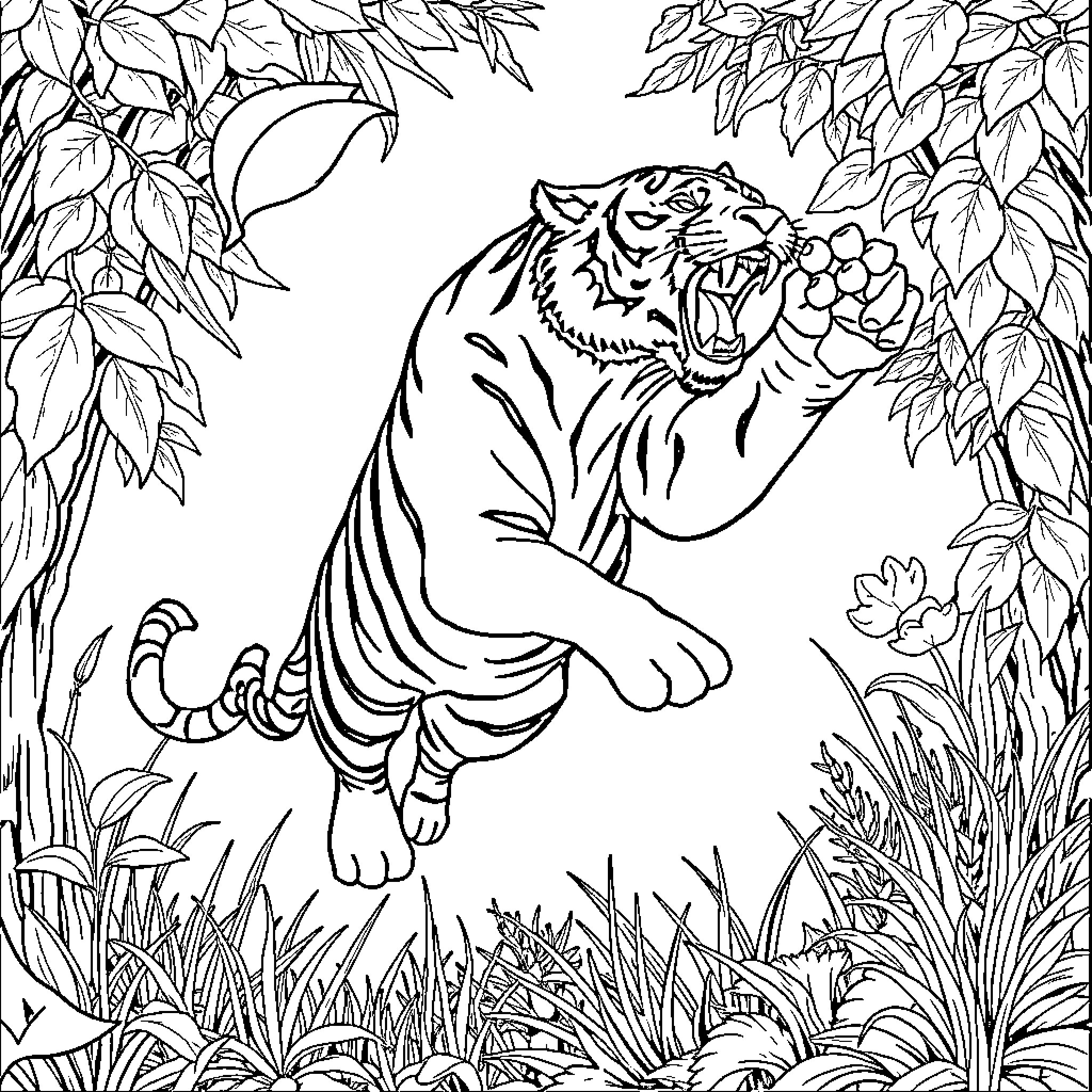 Tiger roaring amidst foliage Coloring Page (free black-and-white line drawing printable PDF for all, from beginners to advanced learners, including children, teens, adults, and seniors)