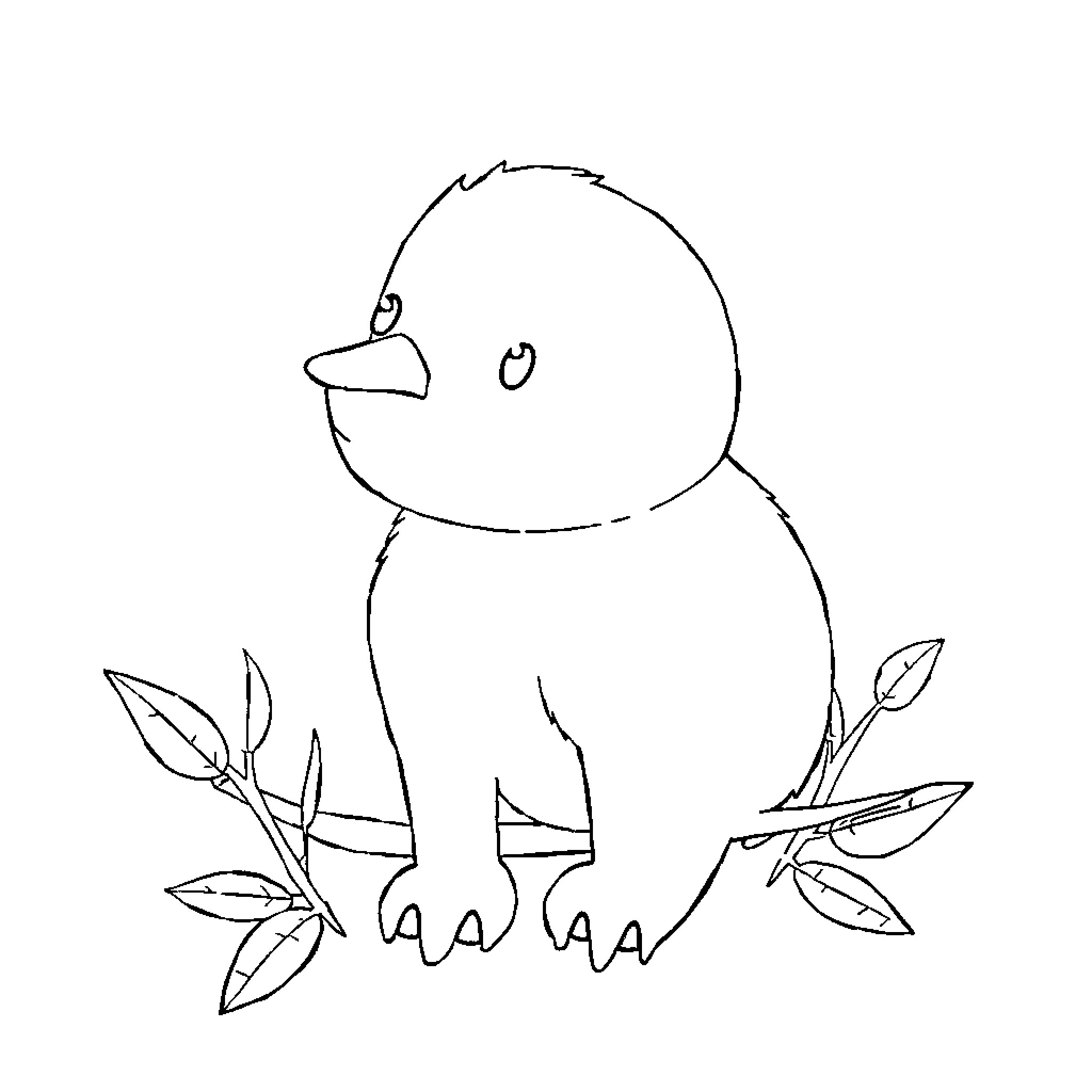 Desenho de um filhote de pássaro curioso Coloring Page (free black-and-white line drawing printable PDF for all, from beginners to advanced learners, including children, teens, adults, and seniors)