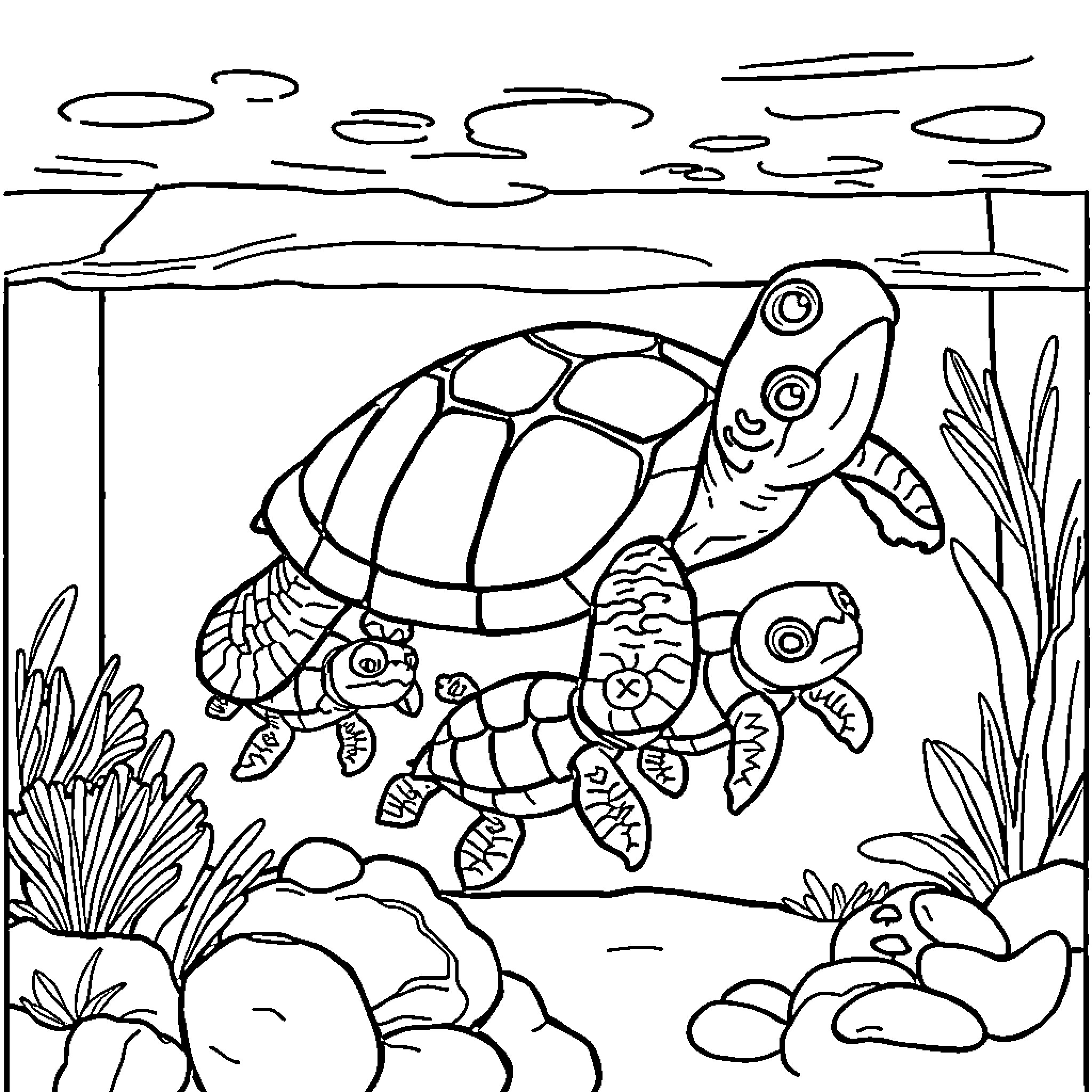 Turtles swimming playfully in the ocean Coloring Page (free black-and-white line drawing printable PDF for all, from beginners to advanced learners, including children, teens, adults, and seniors)