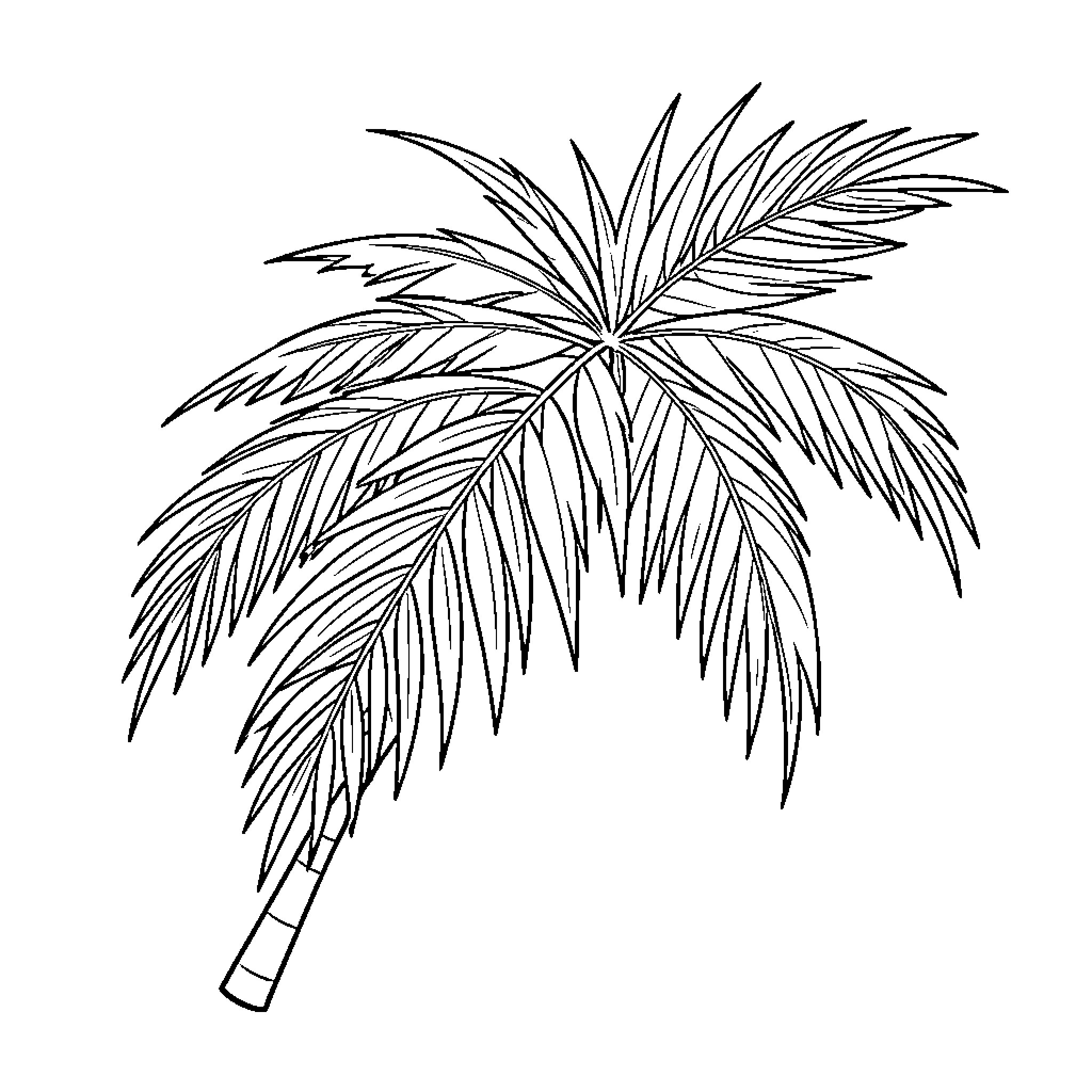 Palm branch silhouette Coloring Page (free black-and-white line drawing printable PDF for all, from beginners to advanced learners, including children, teens, adults, and seniors)