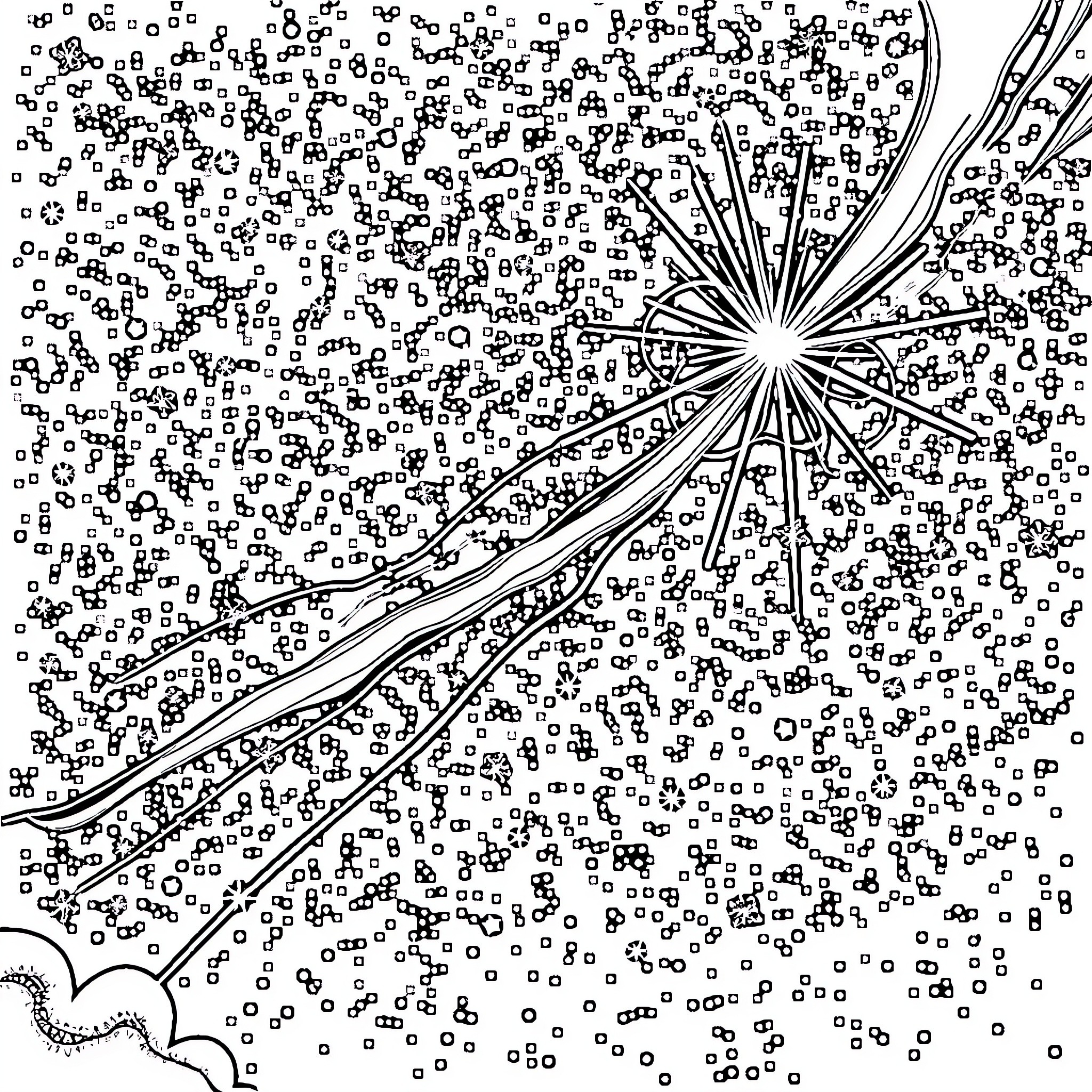 Rocket launch into the night sky Coloring Page (free black-and-white line drawing printable PDF for all, from beginners to advanced learners, including children, teens, adults, and seniors)
