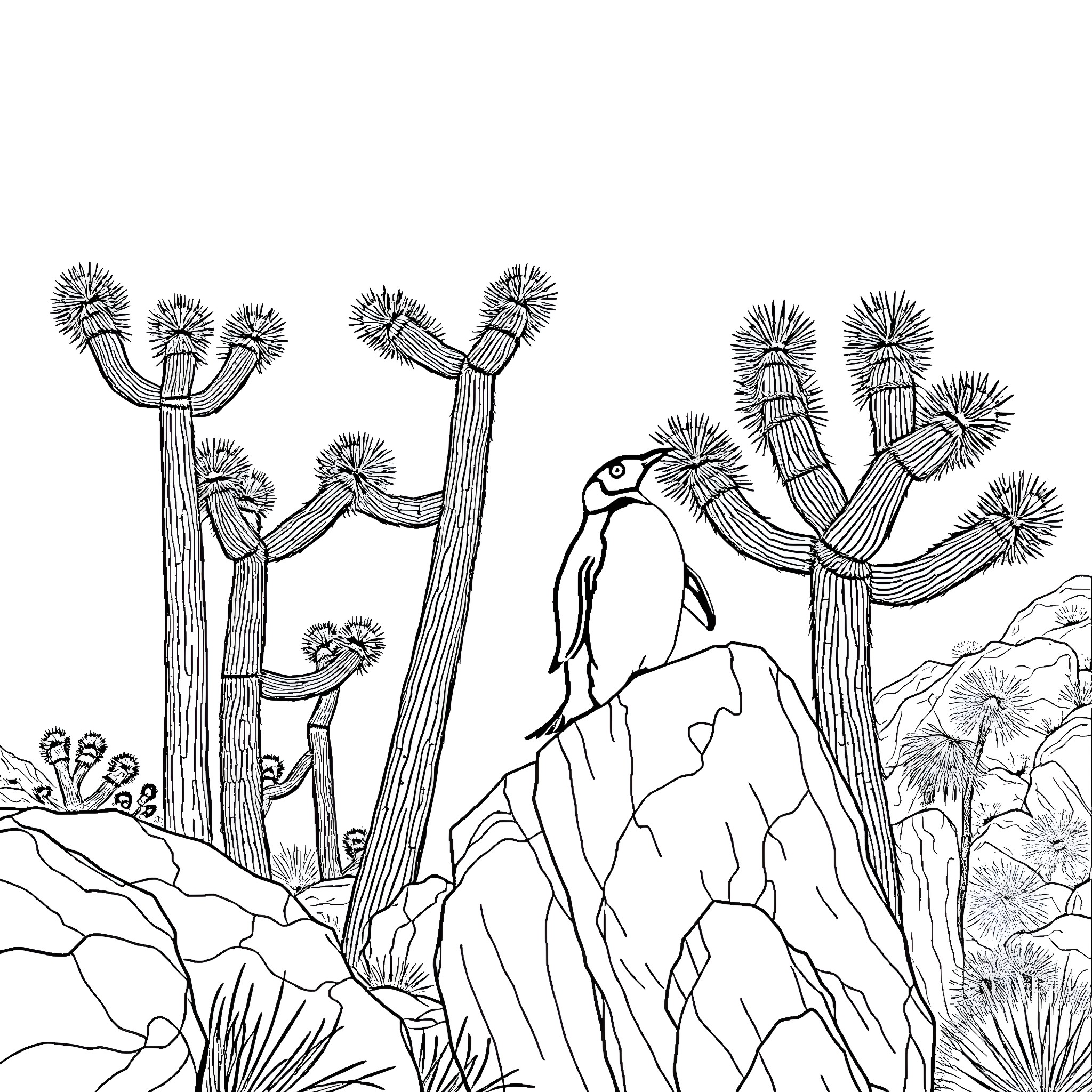 Penguin amidst cactus and rocky landscape Coloring Page (free black-and-white line drawing printable PDF for all, from beginners to advanced learners, including children, teens, adults, and seniors)