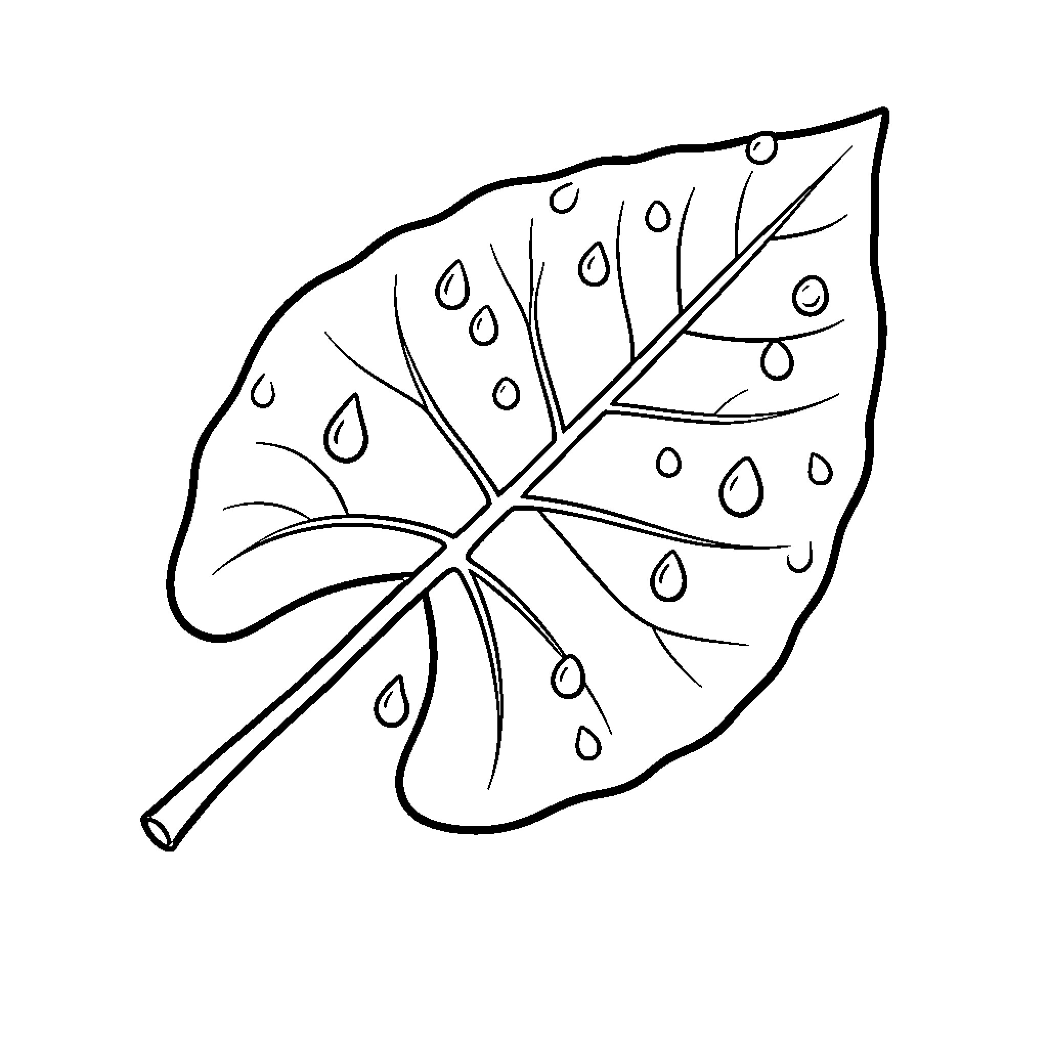 Leaf with raindrop patterns Coloring Page (free black-and-white line drawing printable PDF for all, from beginners to advanced learners, including children, teens, adults, and seniors)