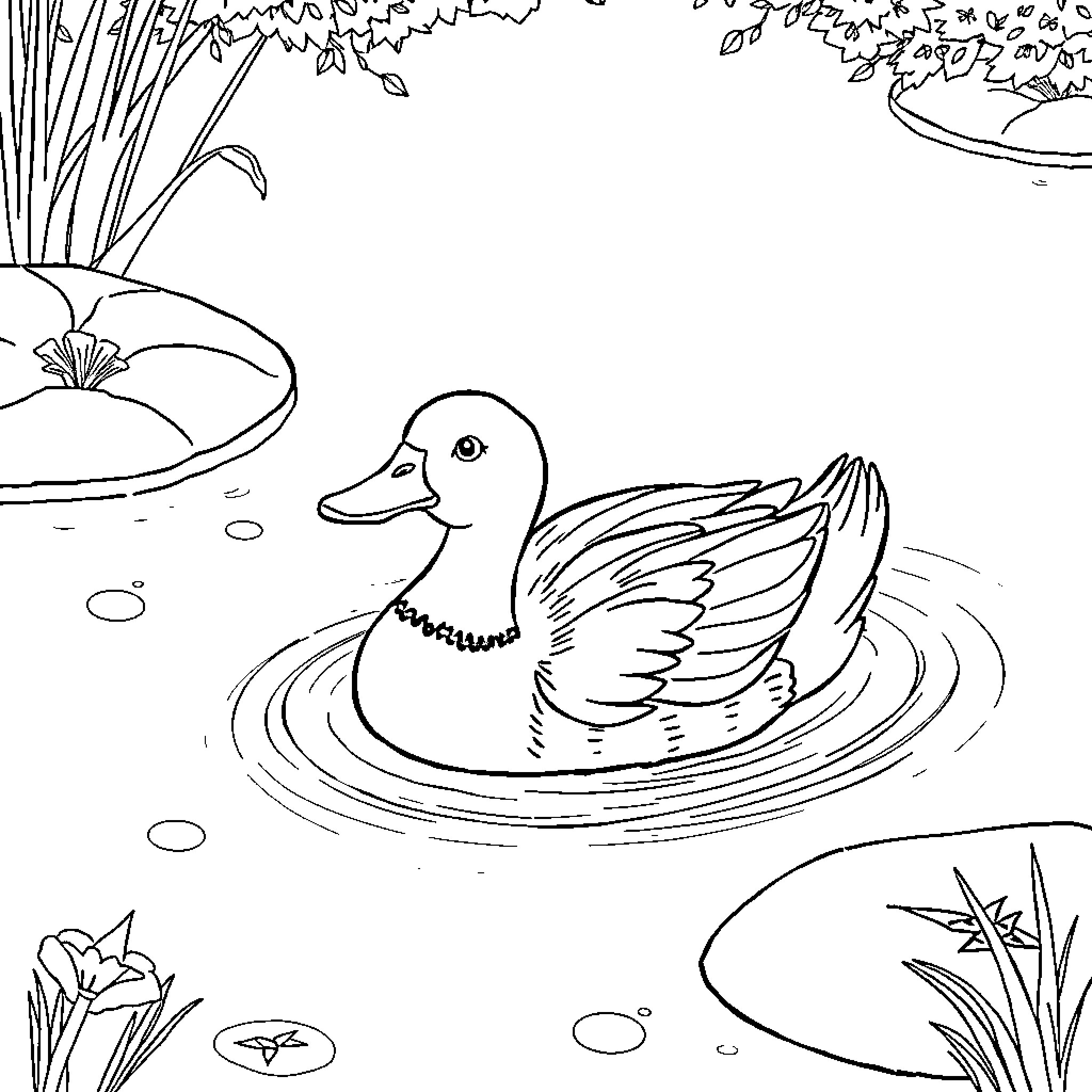 Duck swimming peacefully in a pond surrounded by nature Coloring Page (free black-and-white line drawing printable PDF for all, from beginners to advanced learners, including children, teens, adults, and seniors)