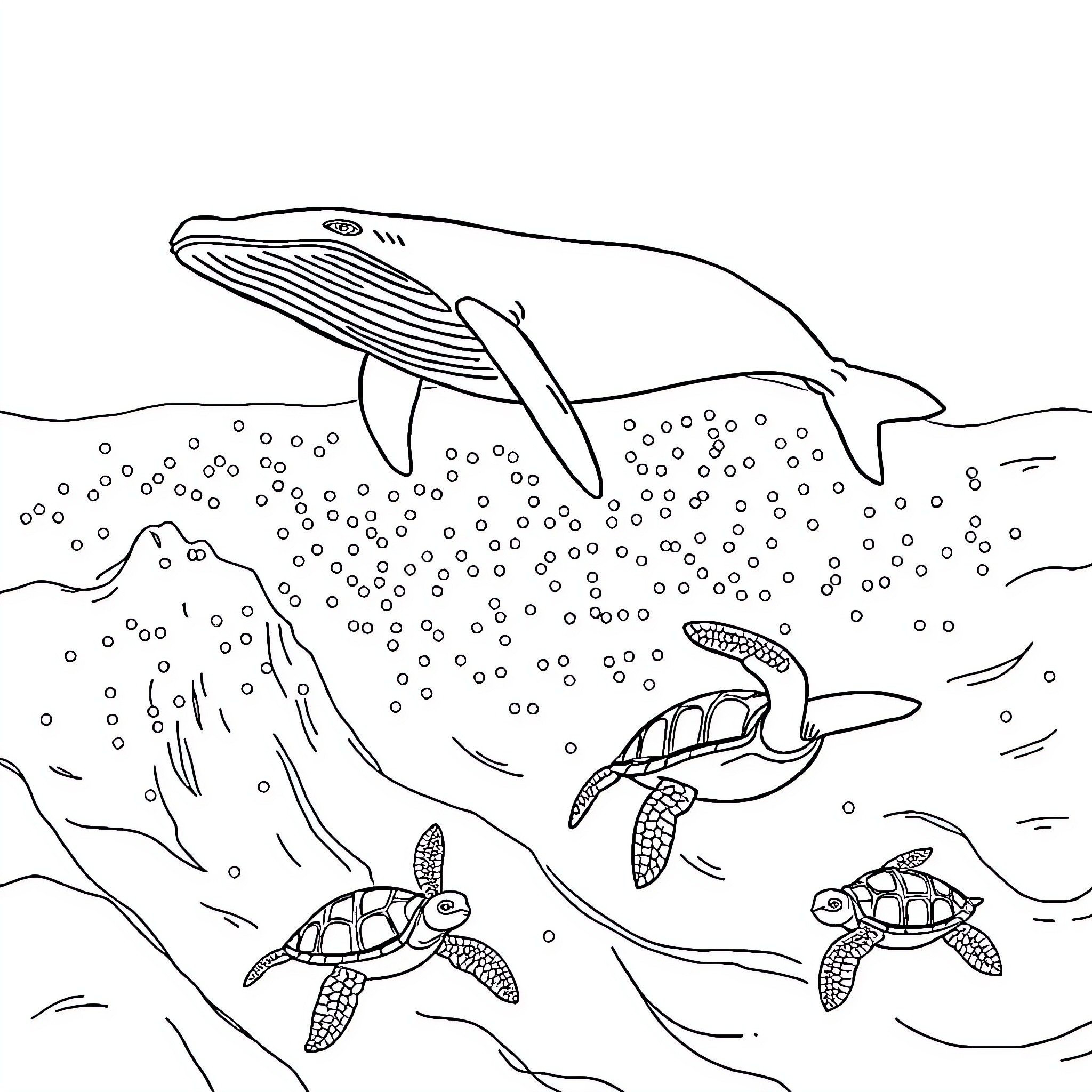 Whale diving gracefully among sea turtles in the ocean Coloring Page (free black-and-white line drawing printable PDF for all, from beginners to advanced learners, including children, teens, adults, and seniors)