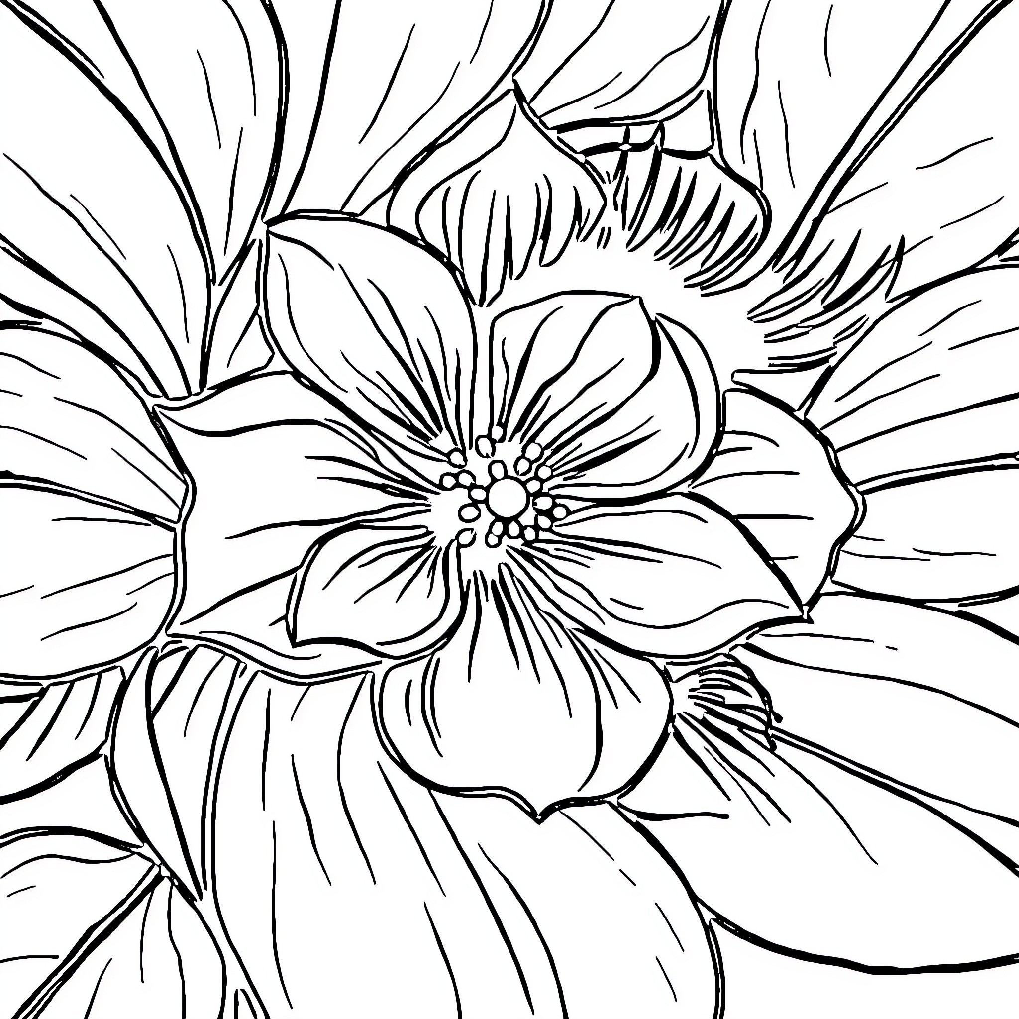 Eye-catching Floral Patterns Coloring Page (free black-and-white line drawing printable PDF for all, from beginners to advanced learners, including children, teens, adults, and seniors)