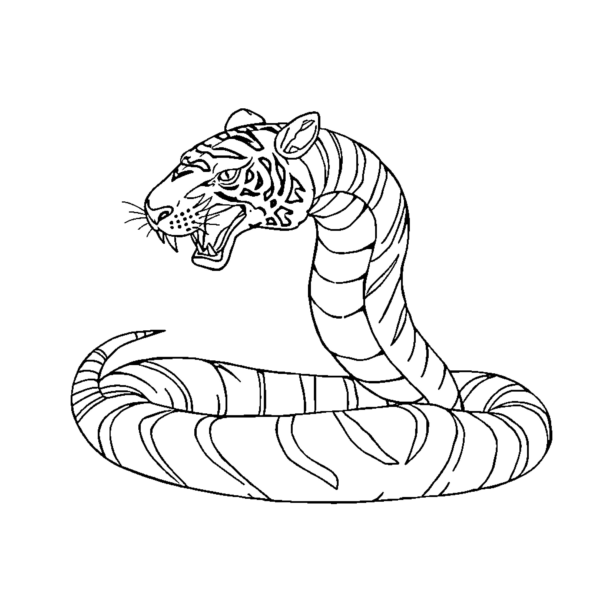 Tiger coiled and ready to strike Coloring Page (free black-and-white line drawing printable PDF for all, from beginners to advanced learners, including children, teens, adults, and seniors)
