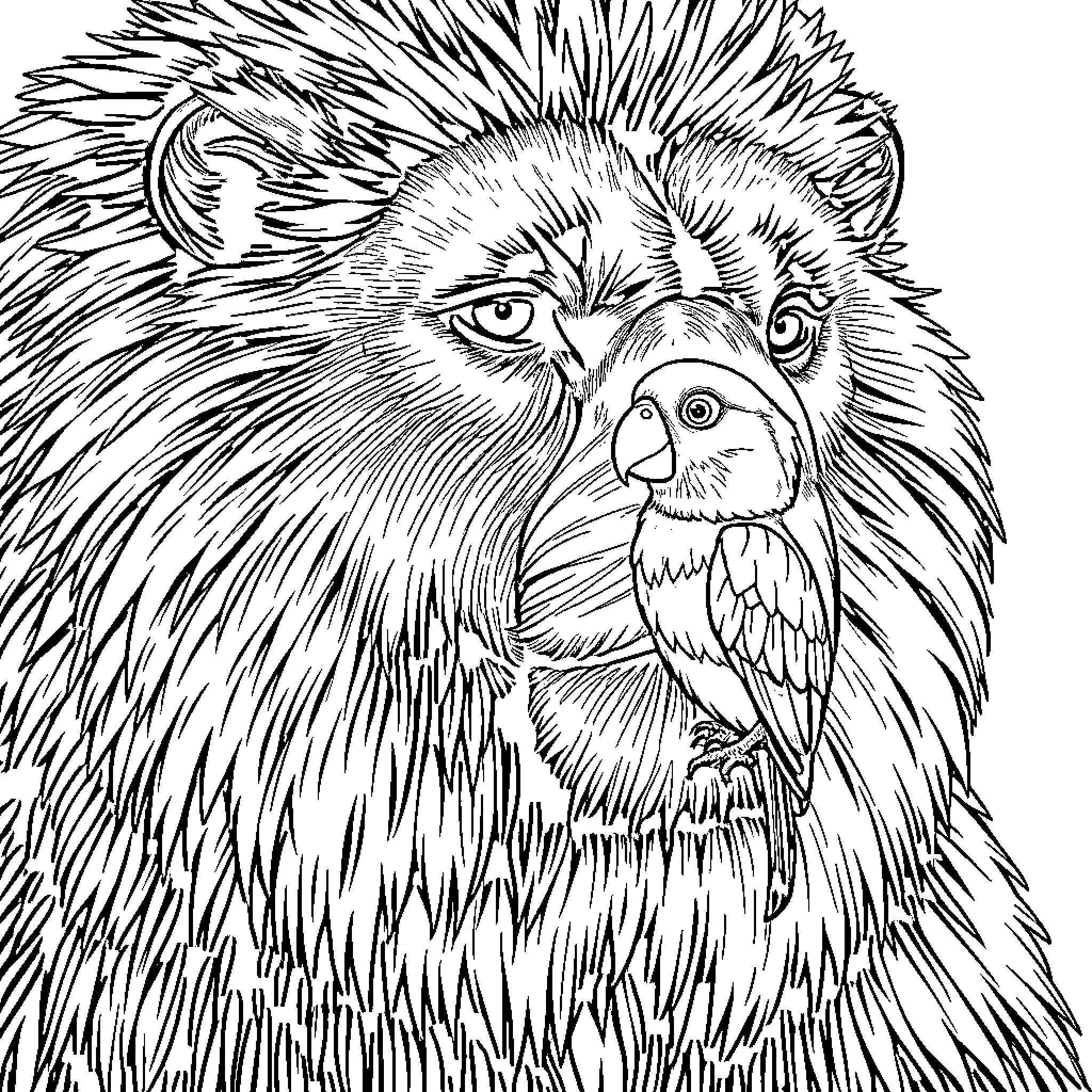 Bear with a Fierce Gaze and Feathered Companion Coloring Page (free black-and-white line drawing printable PDF for all, from beginners to advanced learners, including children, teens, adults, and seniors)