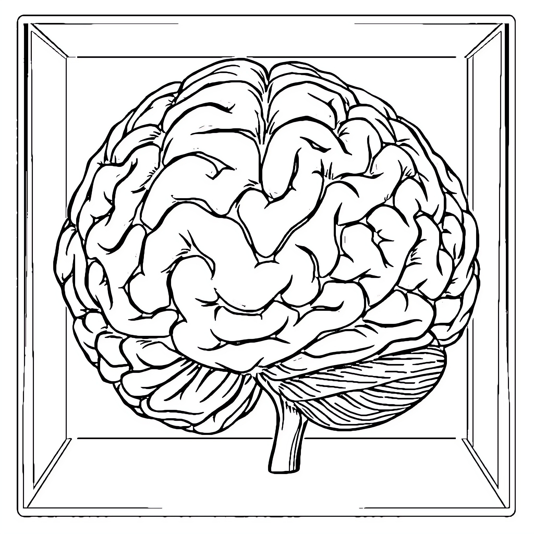 Brain showcased in simple medical illustration Coloring Page (free black-and-white line drawing printable PDF for all, from beginners to advanced learners, including children, teens, adults, and seniors)