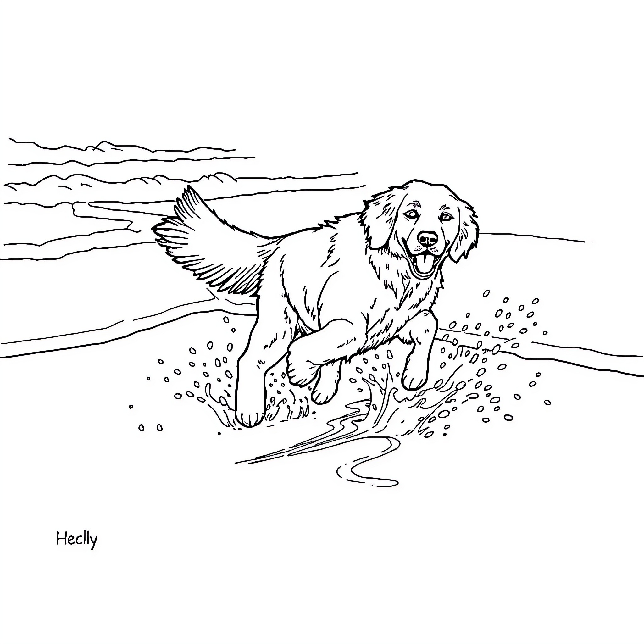 Retriever playing happily in the water Coloring Page (free black-and-white line drawing printable PDF for all, from beginners to advanced learners, including children, teens, adults, and seniors)