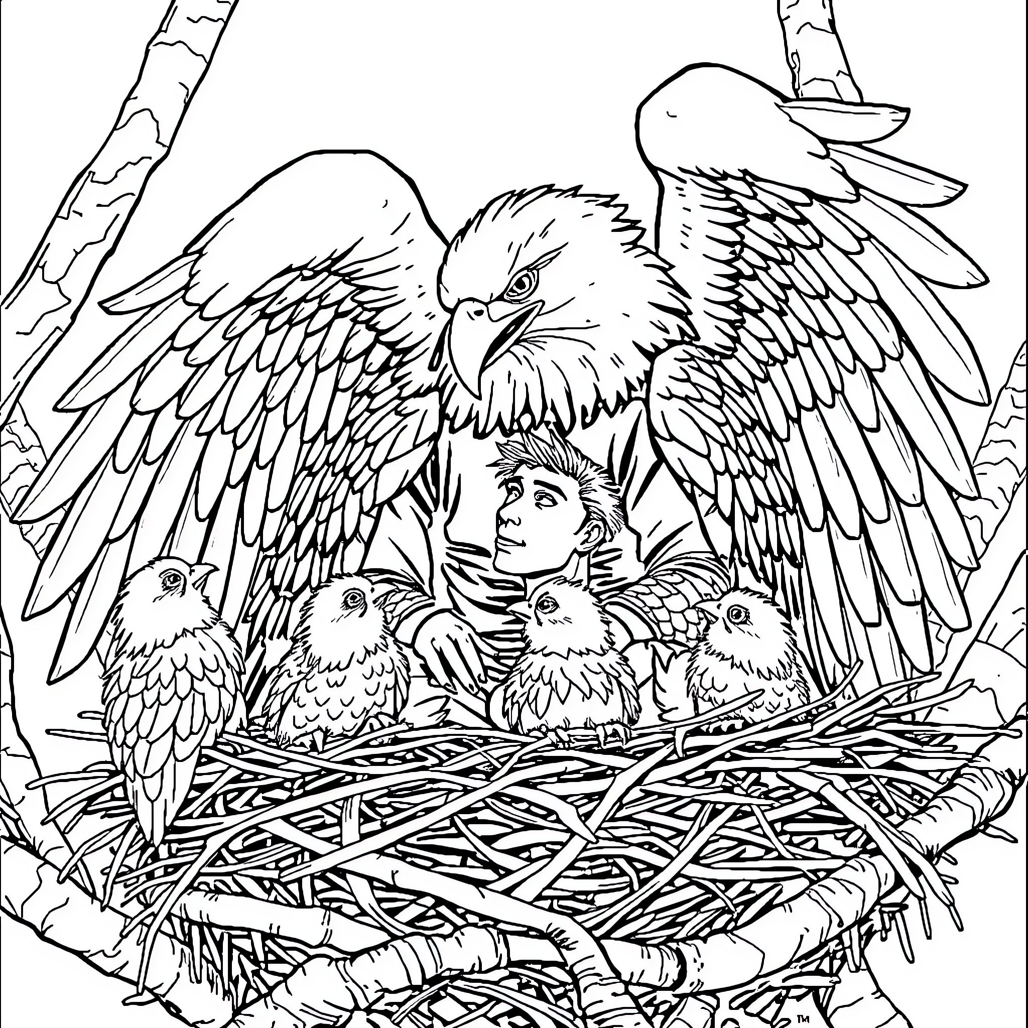 Man and birds nesting in the forest Coloring Page (free black-and-white line drawing printable PDF for all, from beginners to advanced learners, including children, teens, adults, and seniors)